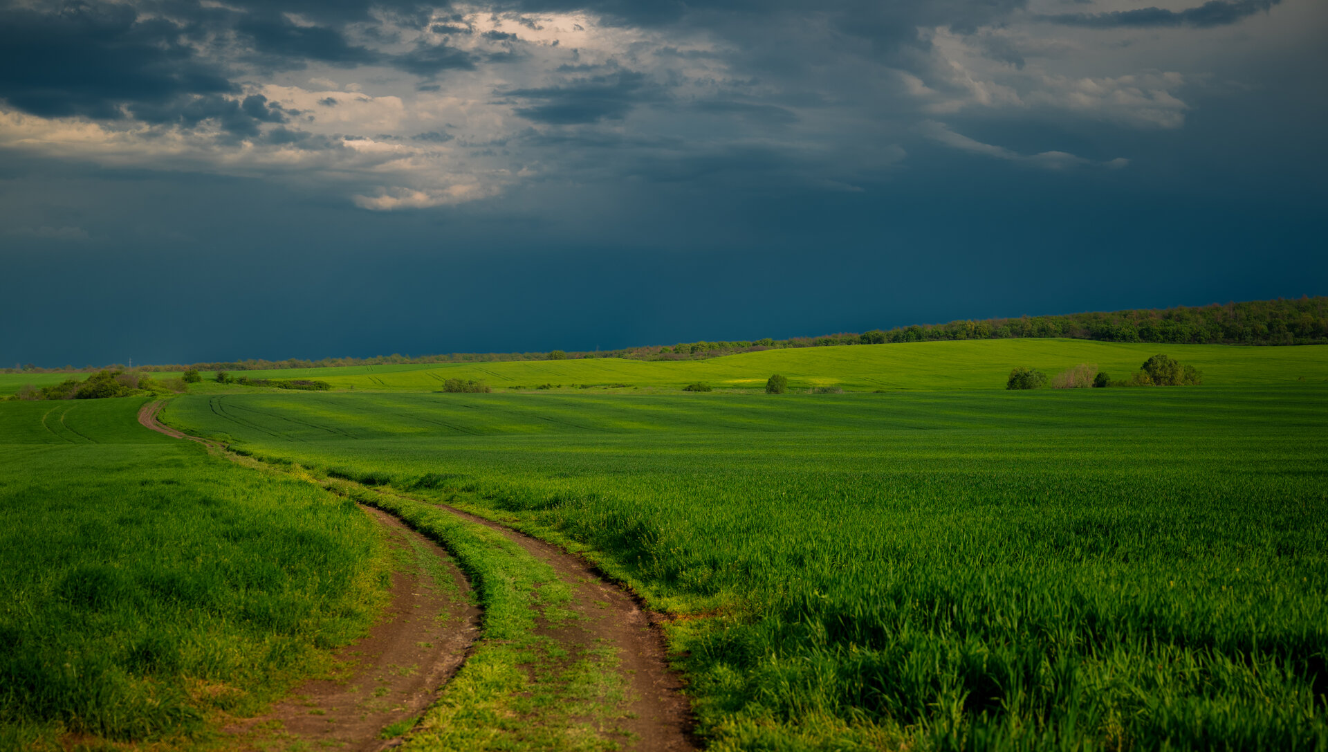 Из пролетни пейзажи 2025 от Petar Gochev - gochev.photography1