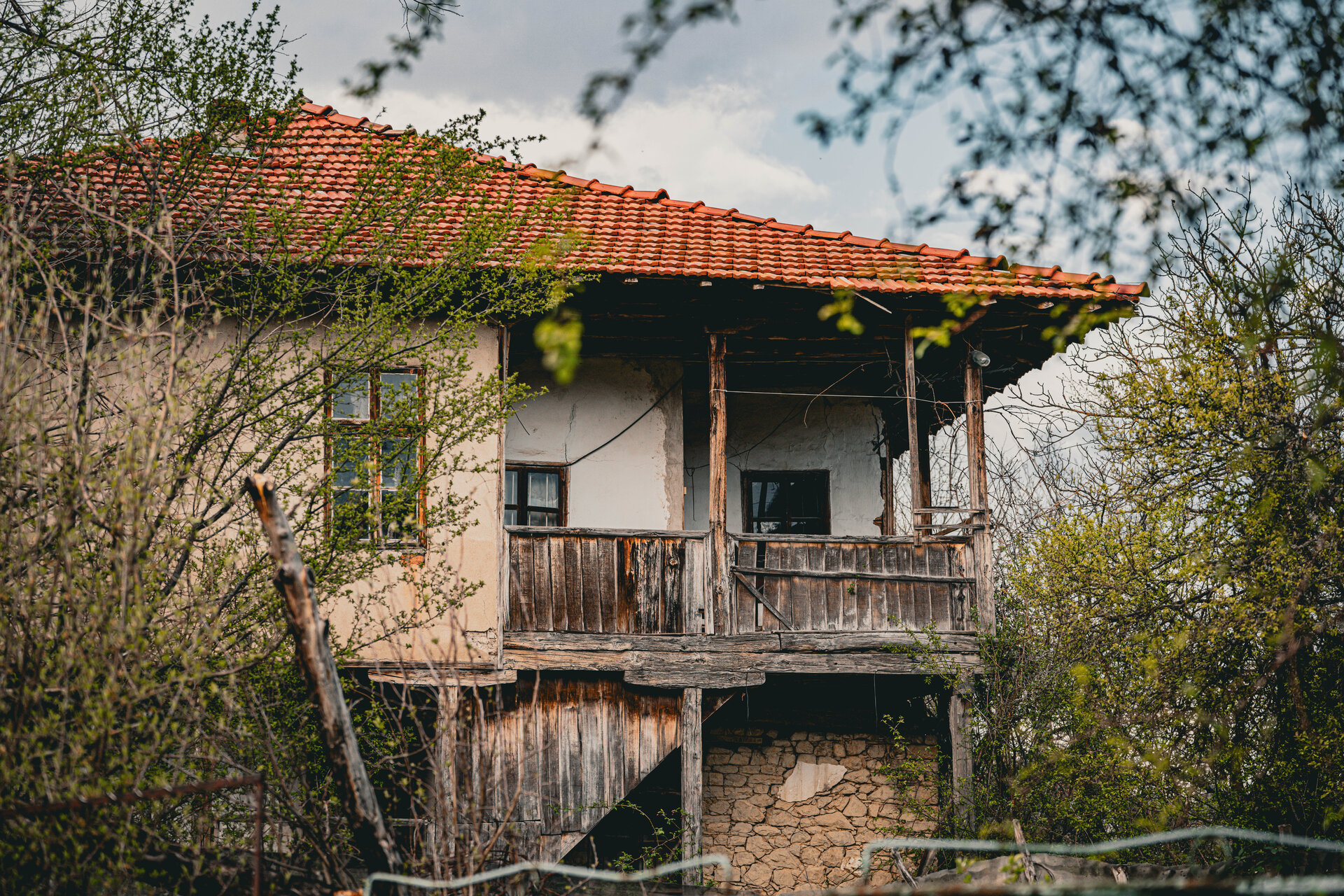 Там където коренът е жив... от Stan Dzhabrailov - Dzhabrailov