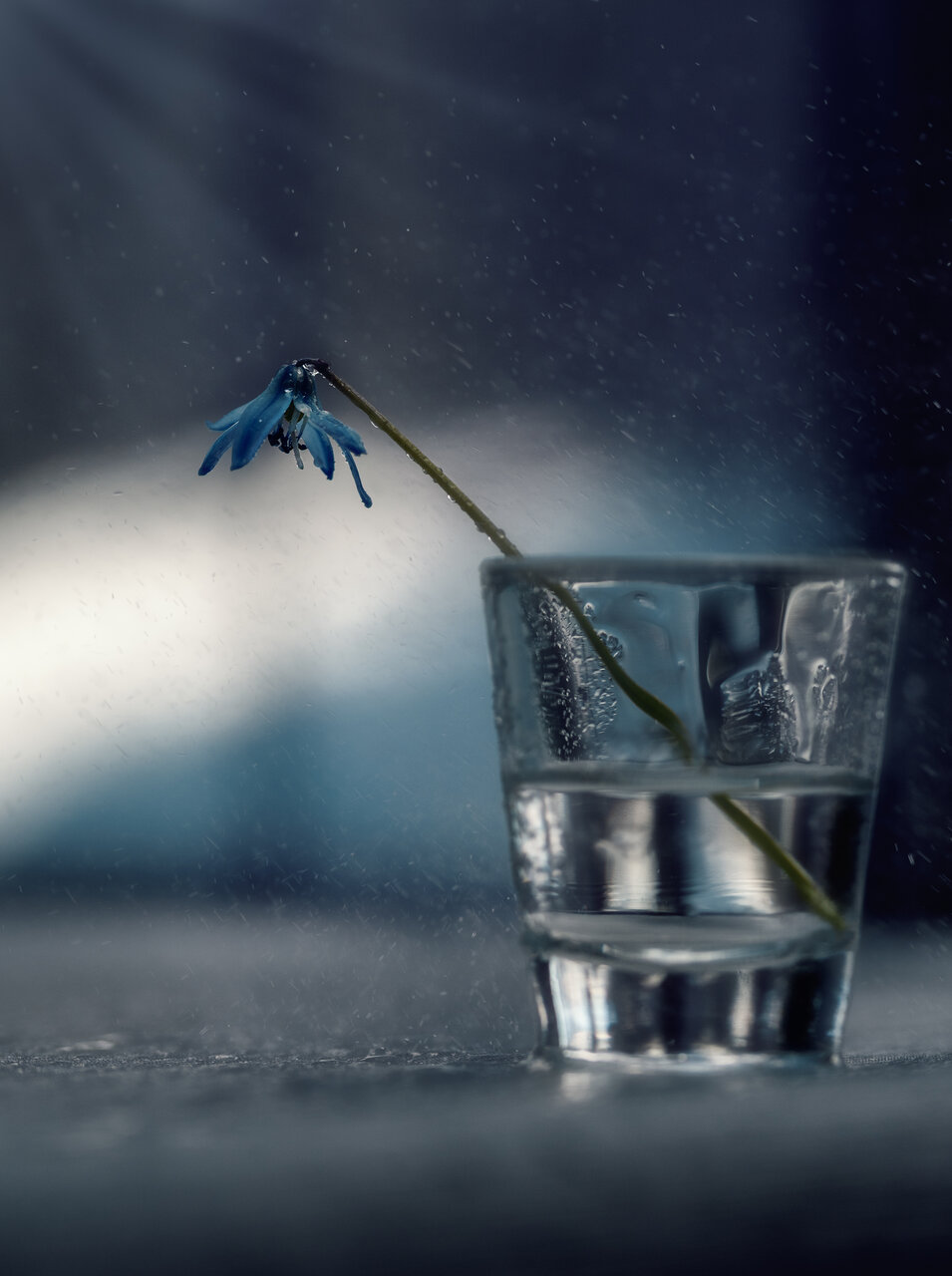 ...feeling blue от Nikki Georgieva  V E G A N I K - vega_nik