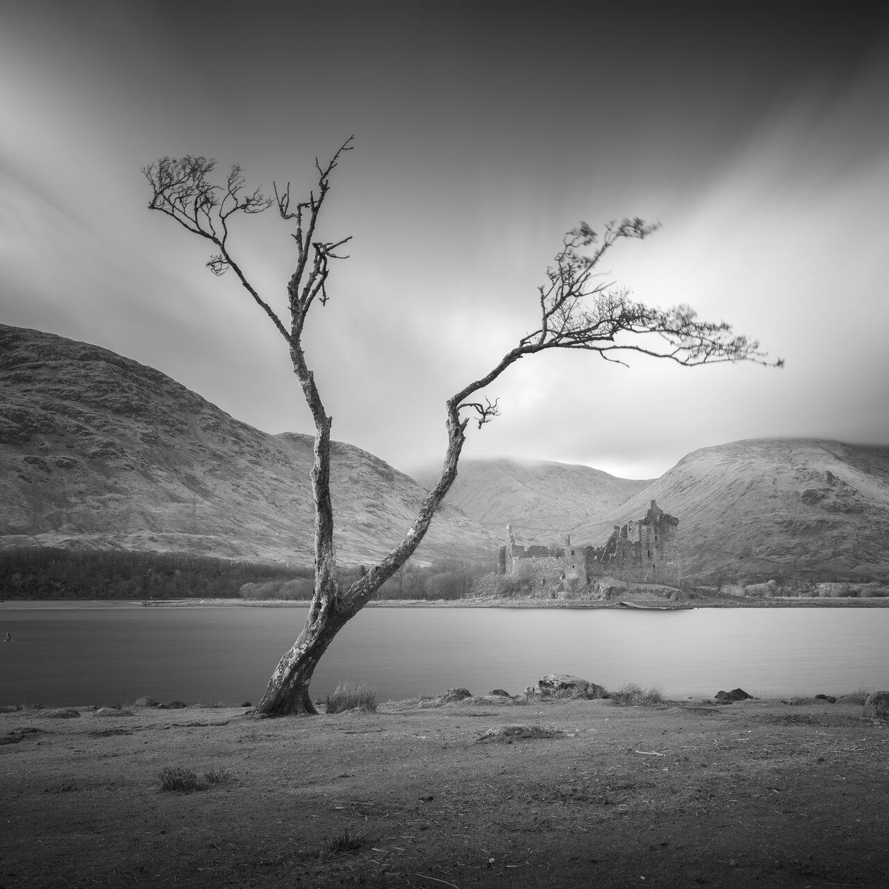  от Peter Igrev - Петър_Игрев