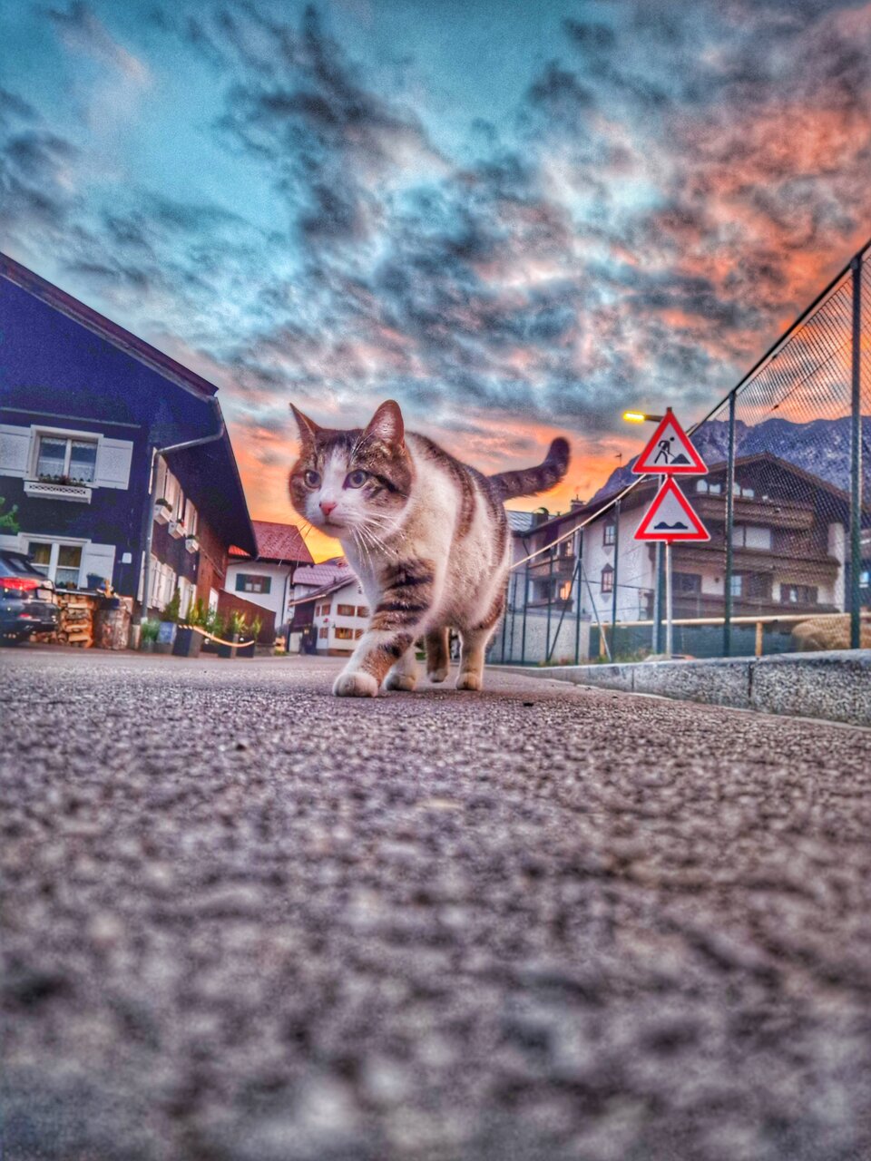 В действие от Радостин Захариев - paradoxa24