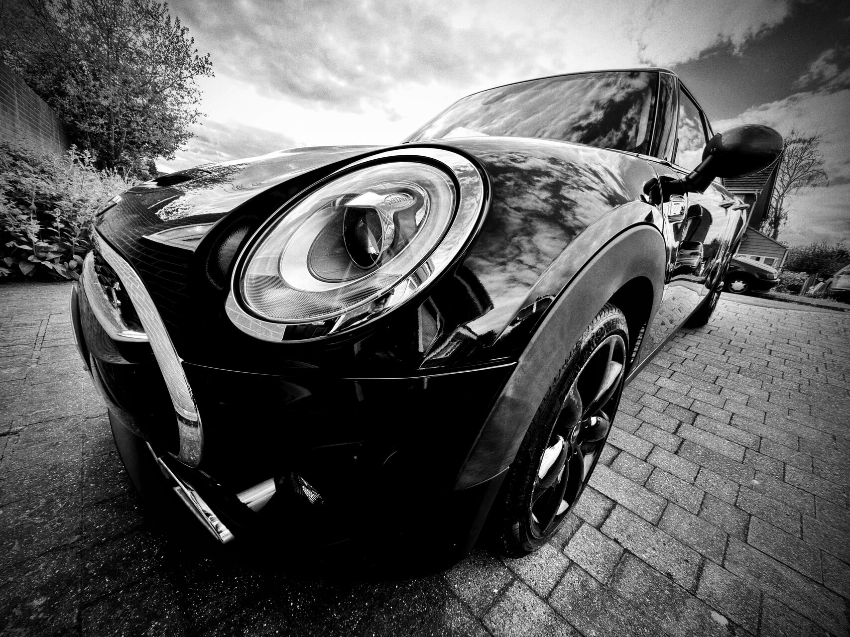 Особено едното от Владимир Димитров - nyamago