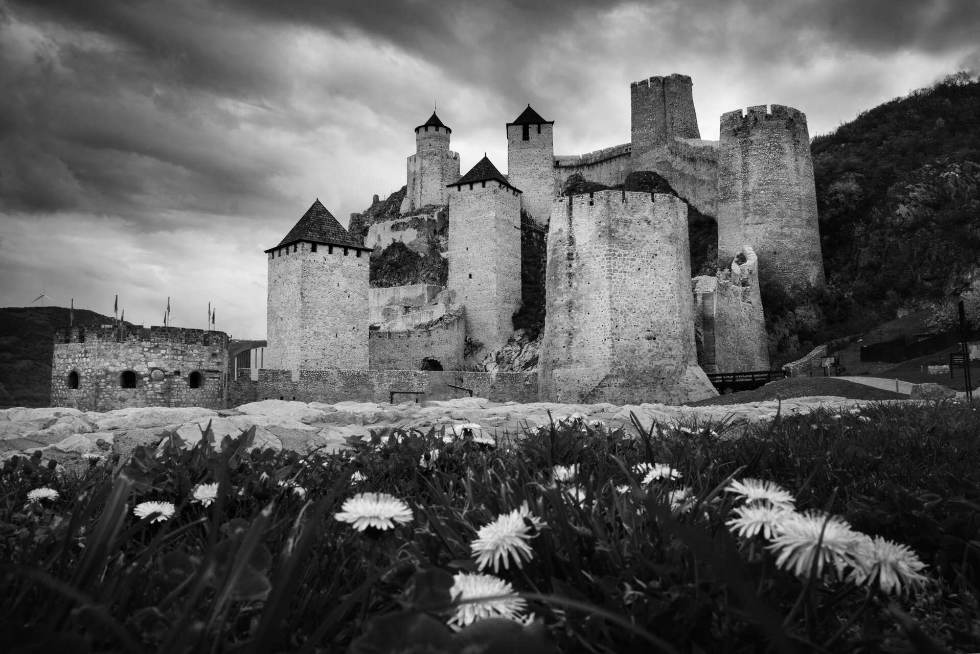 Черно-бяла пролет от Vania Tonova - vivian