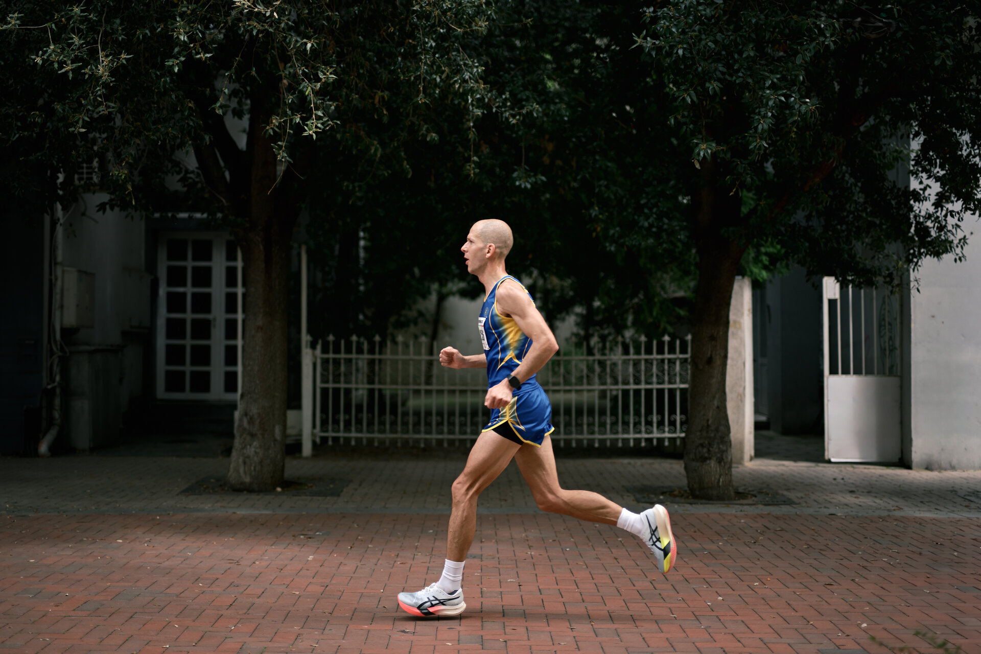 Към финала от Павел Трифонов - shikantaza