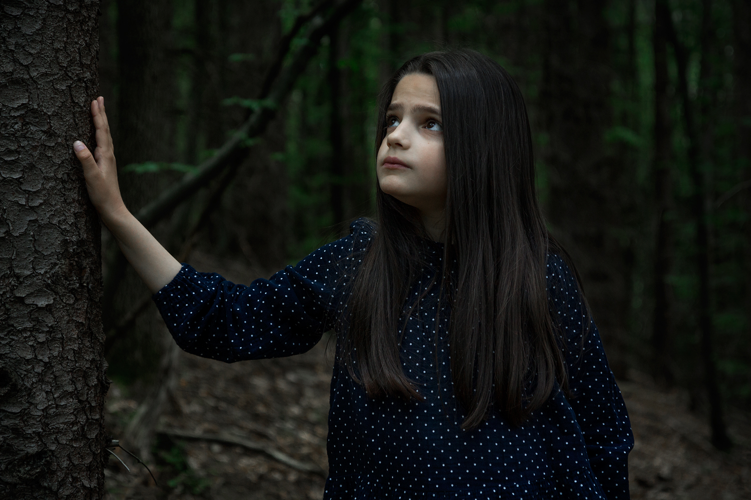 Into the Dark Woods от Ana Angelova - alma