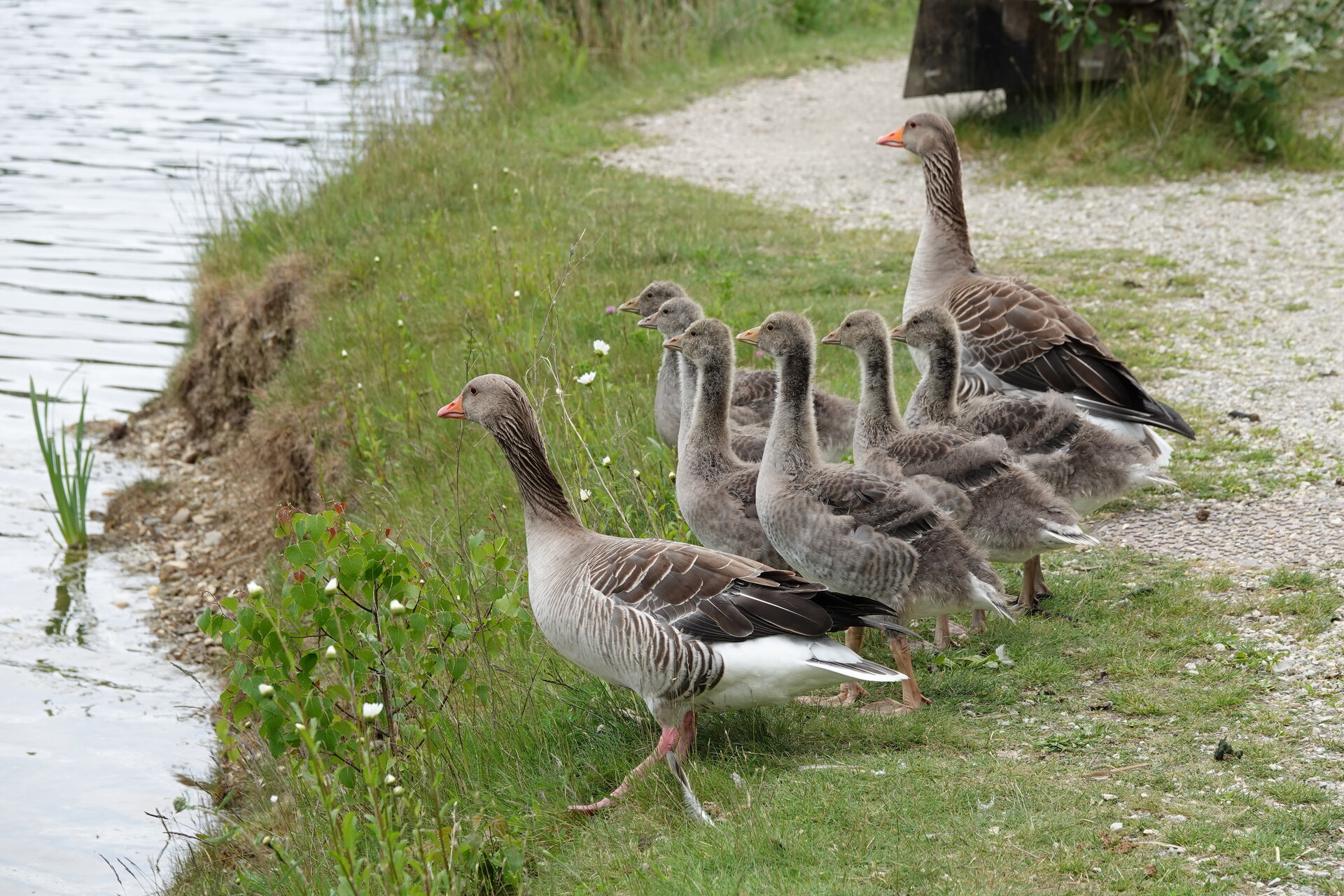 С поглед към вятъра от Marina Nizamska - marinizam