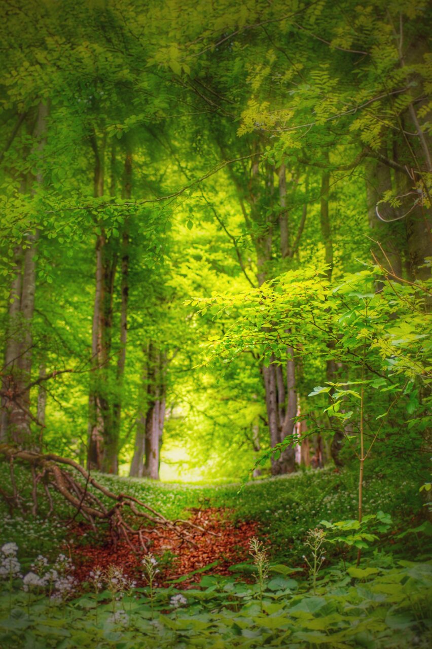 Лъч светлина от Радостин Захариев - paradoxa24