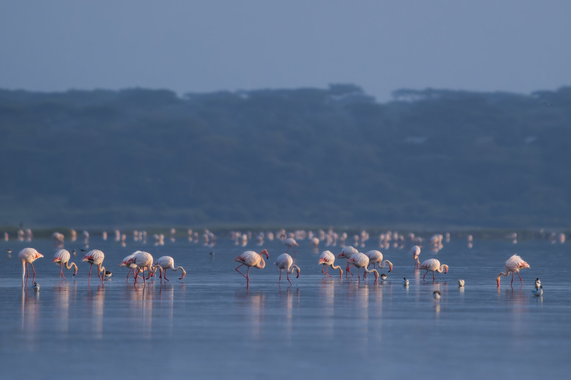 Сутрин в Ндуту / Танзания от Веселин Граматиков - vgramatikov
