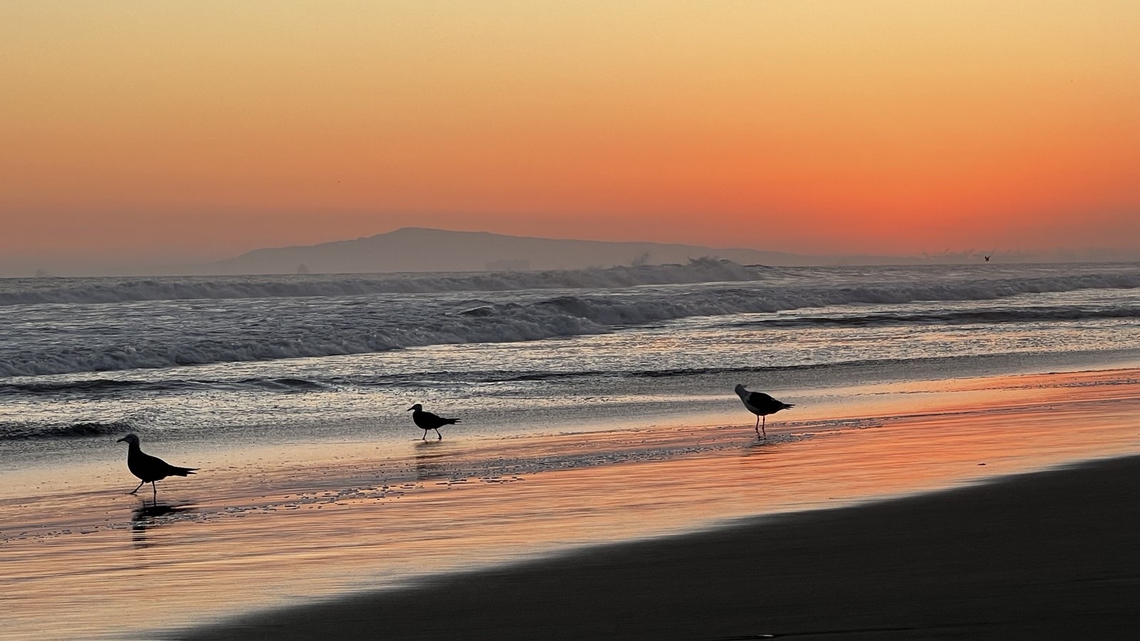 Залез от GIren Garabedyan - Iren_Gphoto