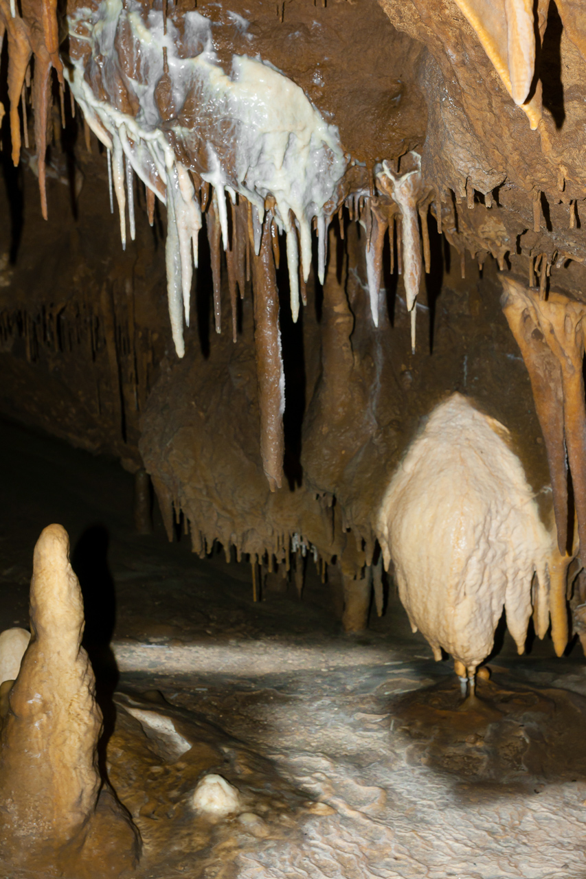  от Tzvetan Ostromsky - ceco