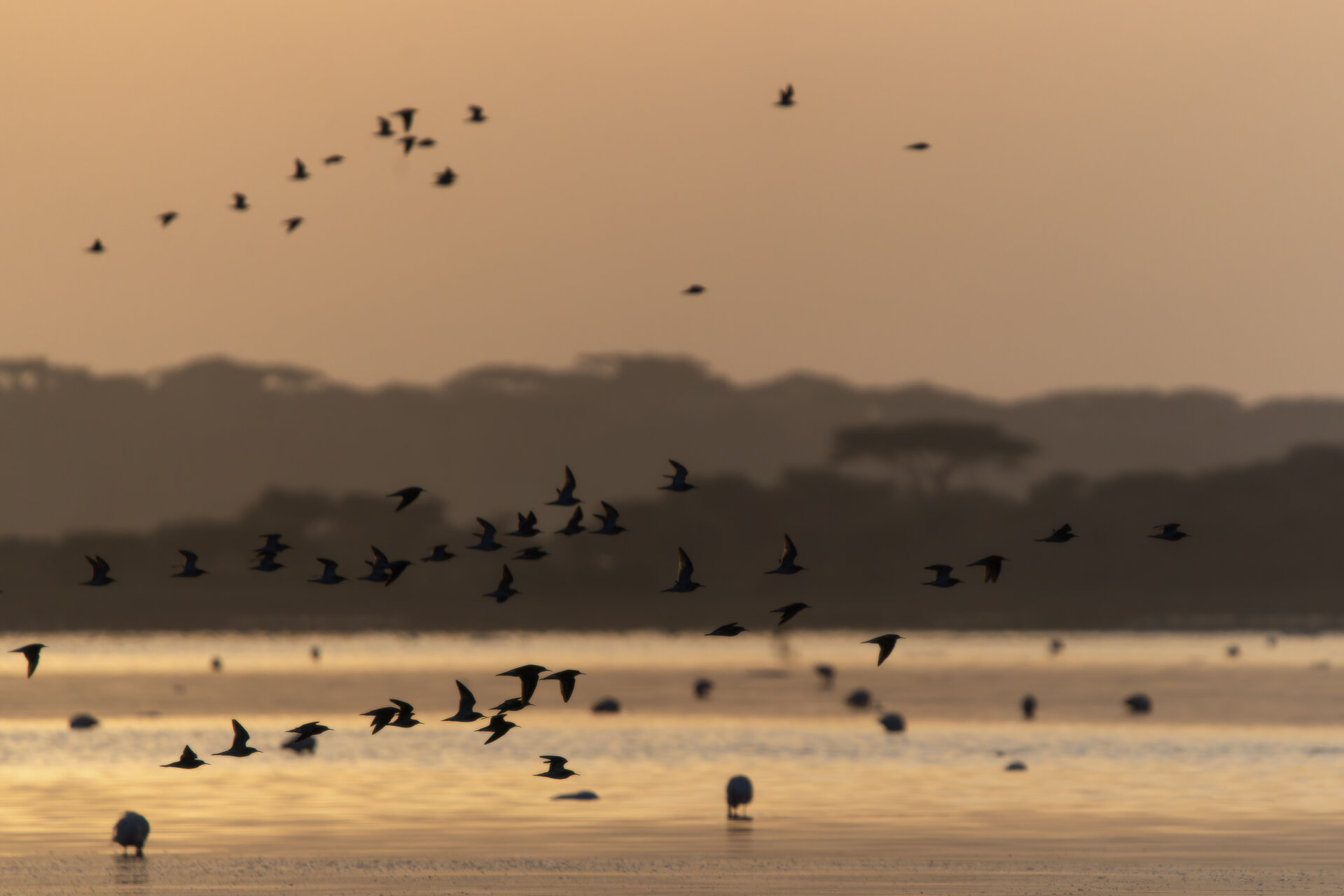 Изгрев на езерото Ндуту / Танзания от Веселин Граматиков - vgramatikov