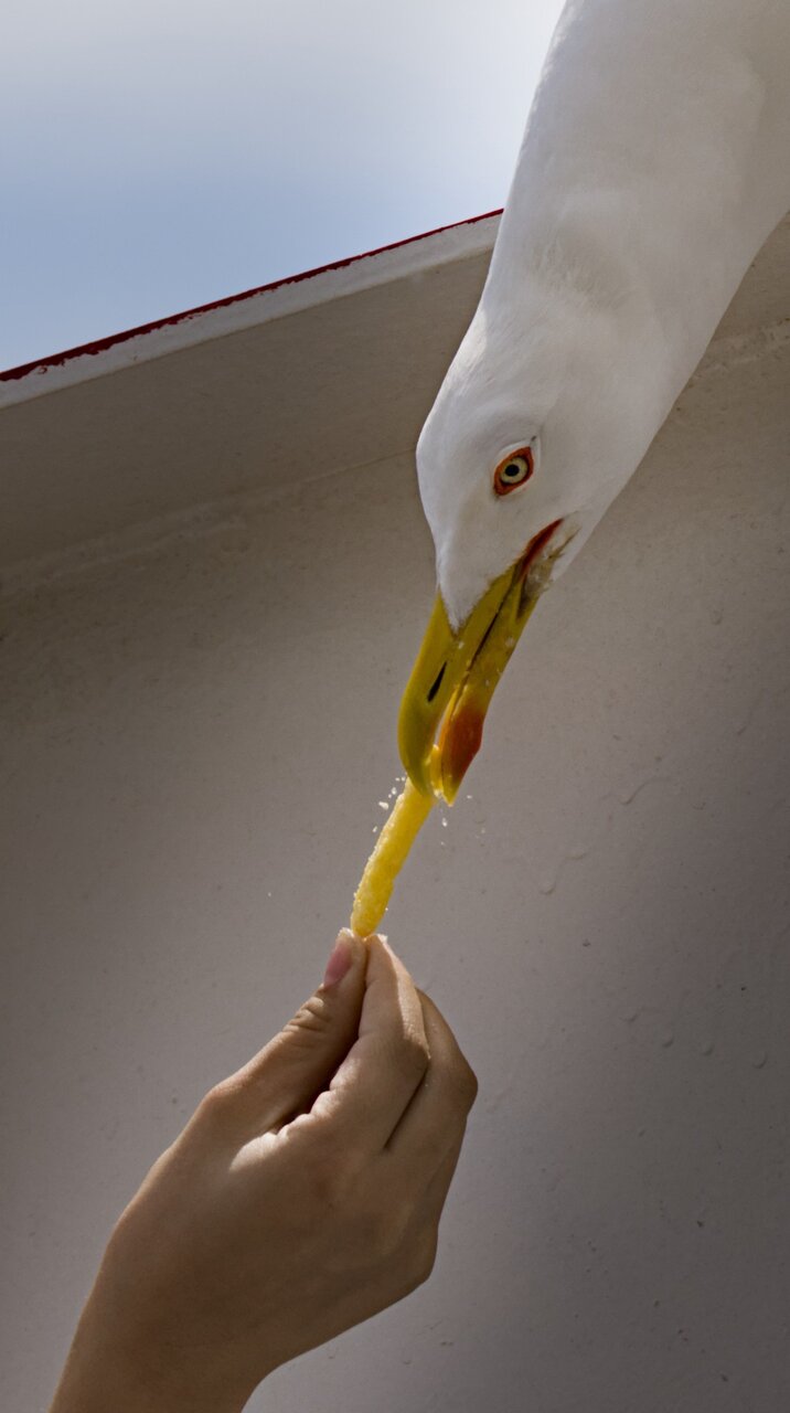 Сътворението на Адам? от V I - prikazniq