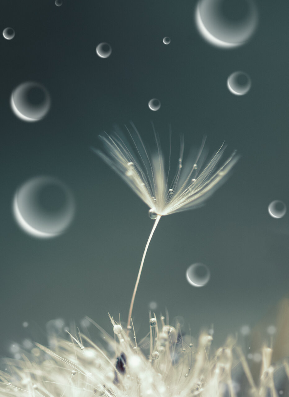 ... от Nikki Georgieva  V E G A N I K - vega_nik