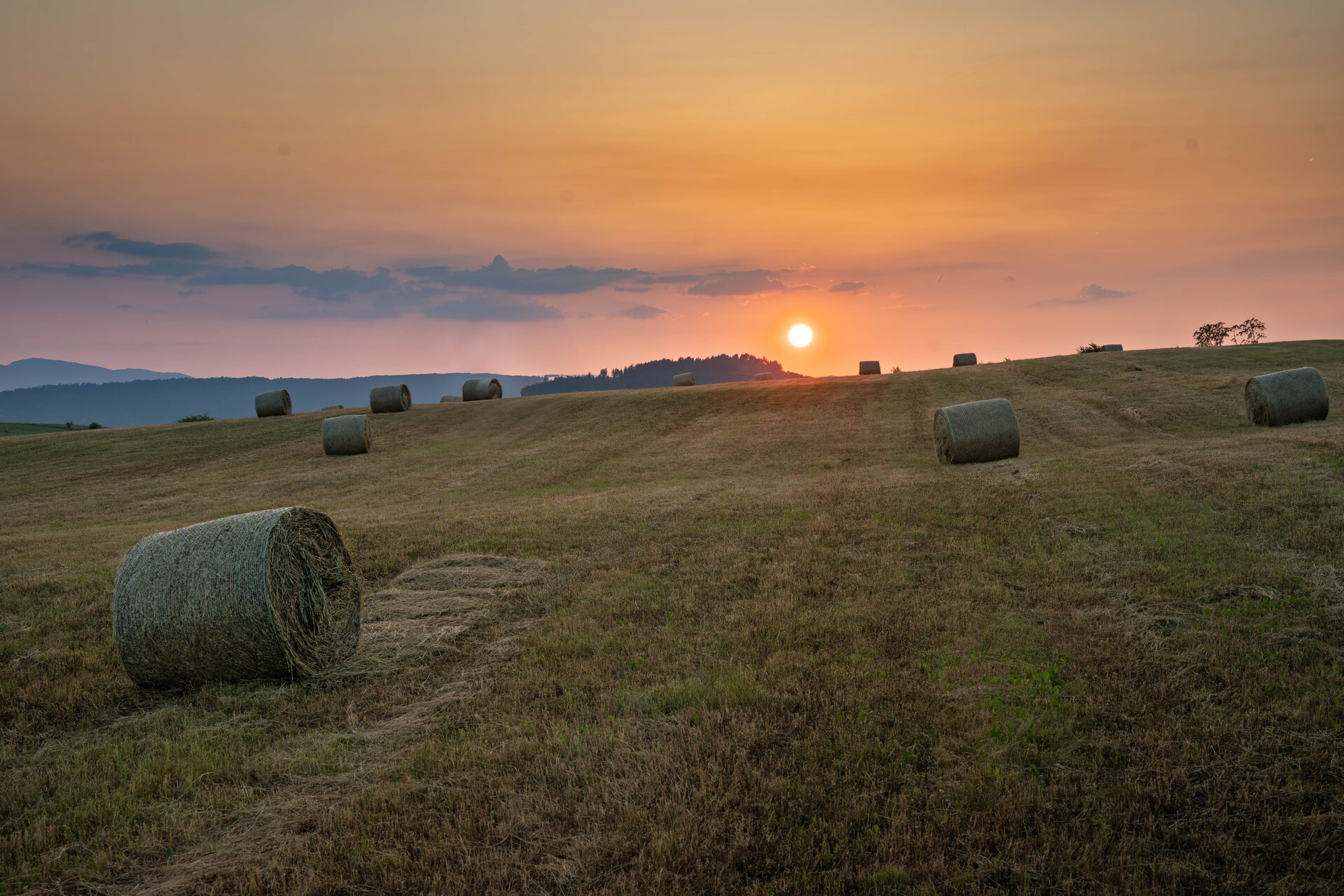 Бали от Nikola Shishmanov - nikshi