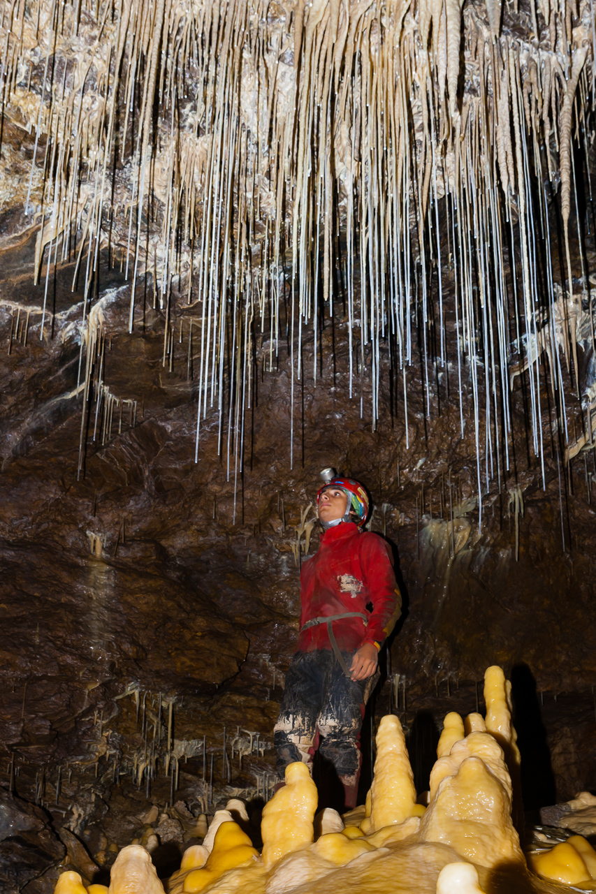 Дъждовно хилядолетие от Tzvetan Ostromsky - ceco