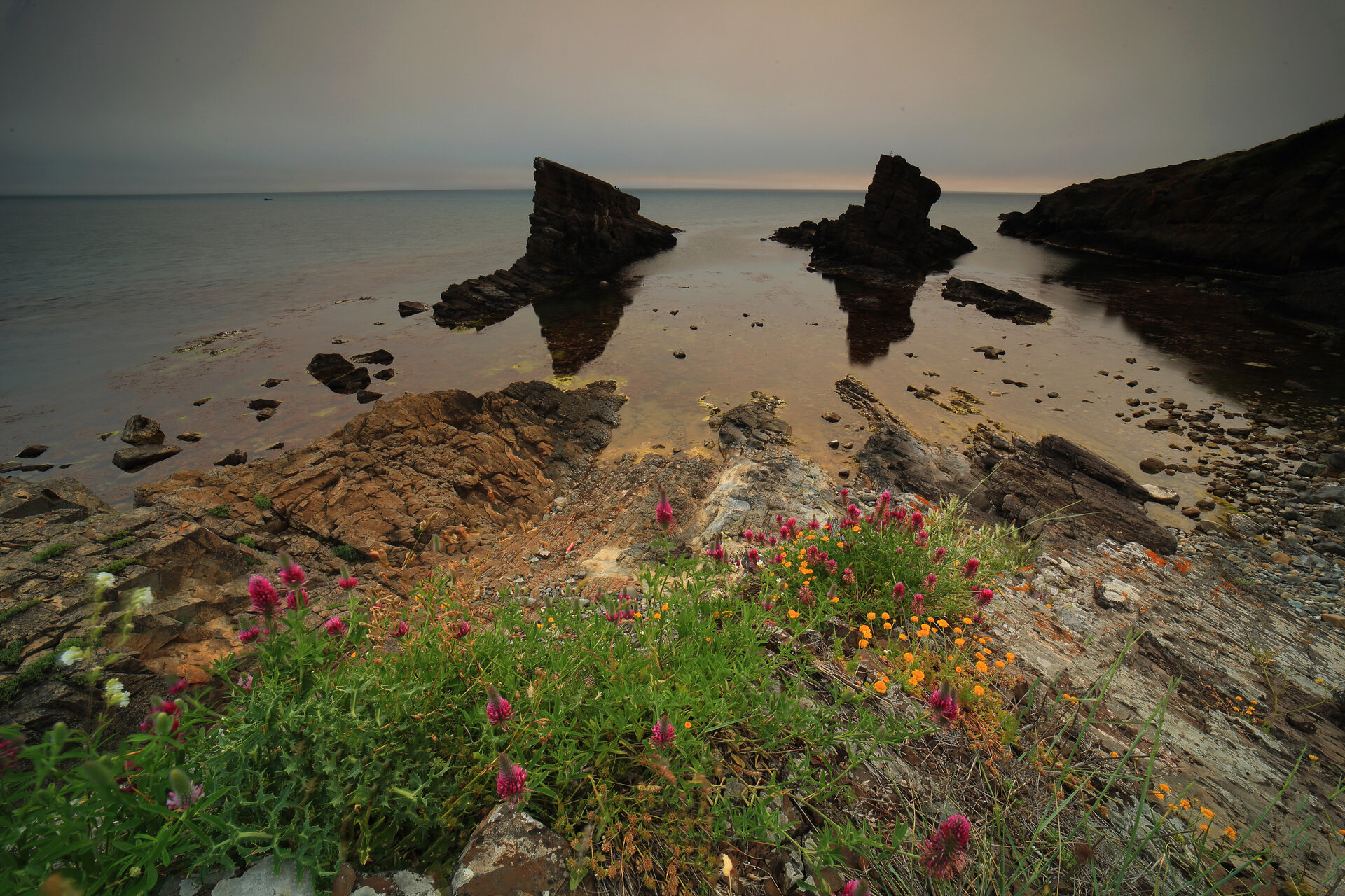 Българското цветоморие от Tanya Ivanova - Witchy