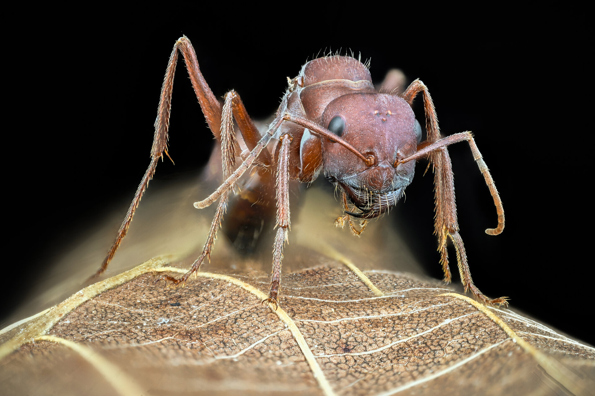  от Tsvetan Ganev - ceclii