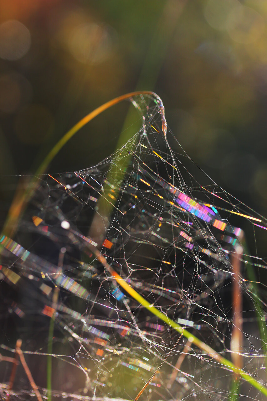 Нишки на уют от Niya Yakimova - Niya.Yak