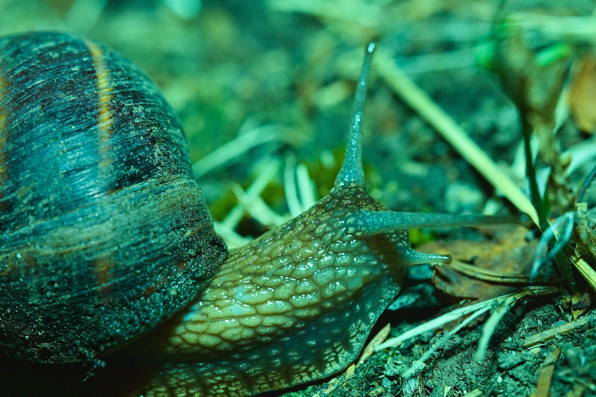 Не бързай! от Stoqn - fotocrop