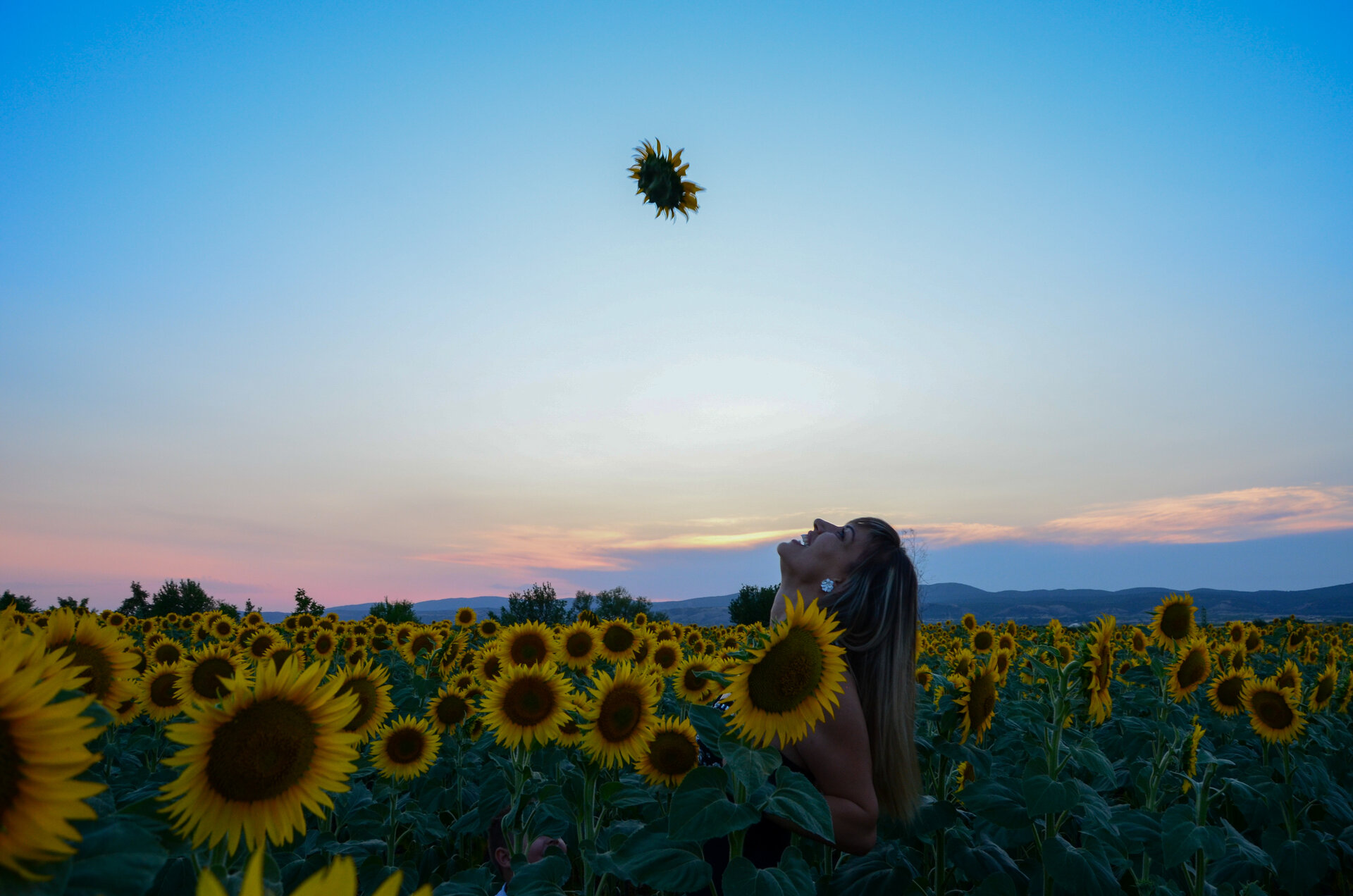 Слънчогледов полет от Petq Nedkova - PetyaNedkova