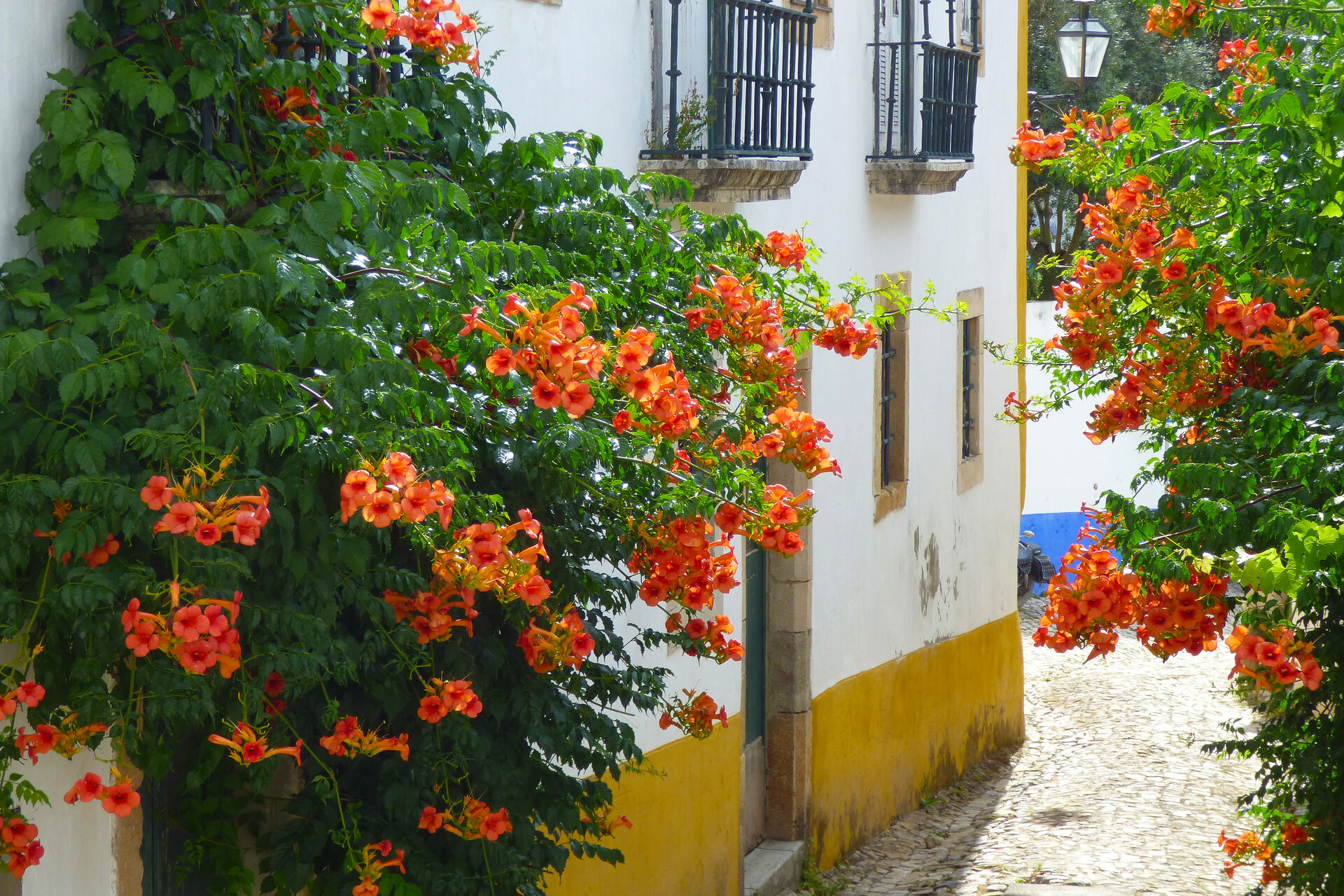 Градчето Obidus, Португалия от Димитър  Стоянов - vidim2