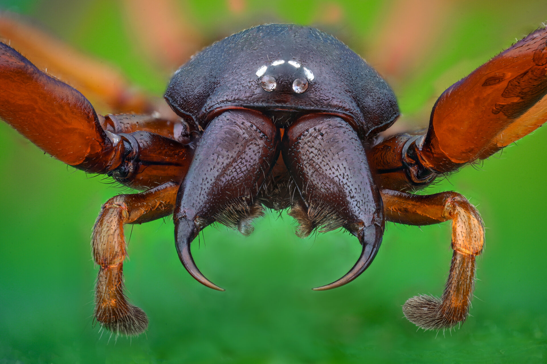  от Tsvetan Ganev - ceclii