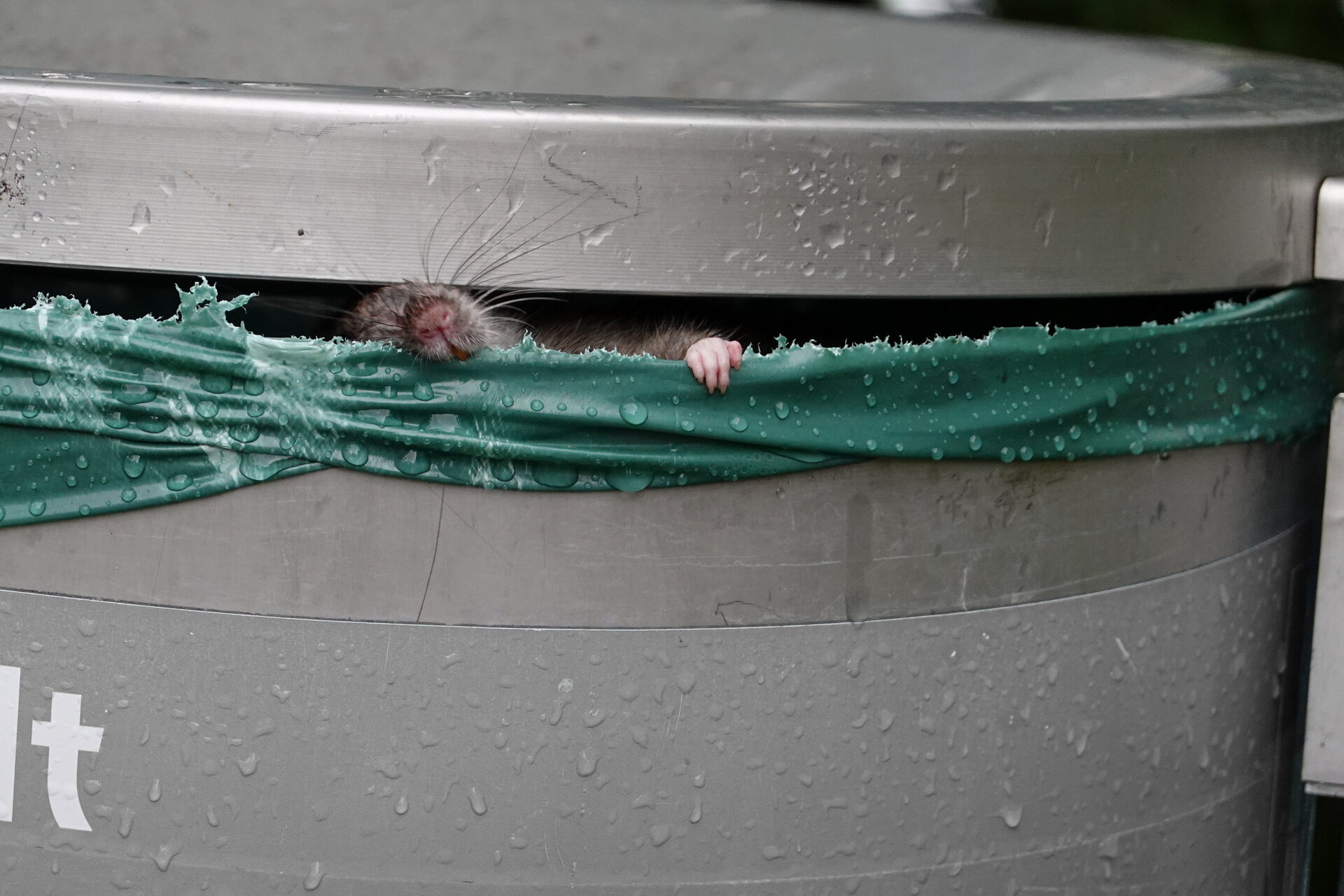 Капанът на глада от Marina Nizamska - marinizam