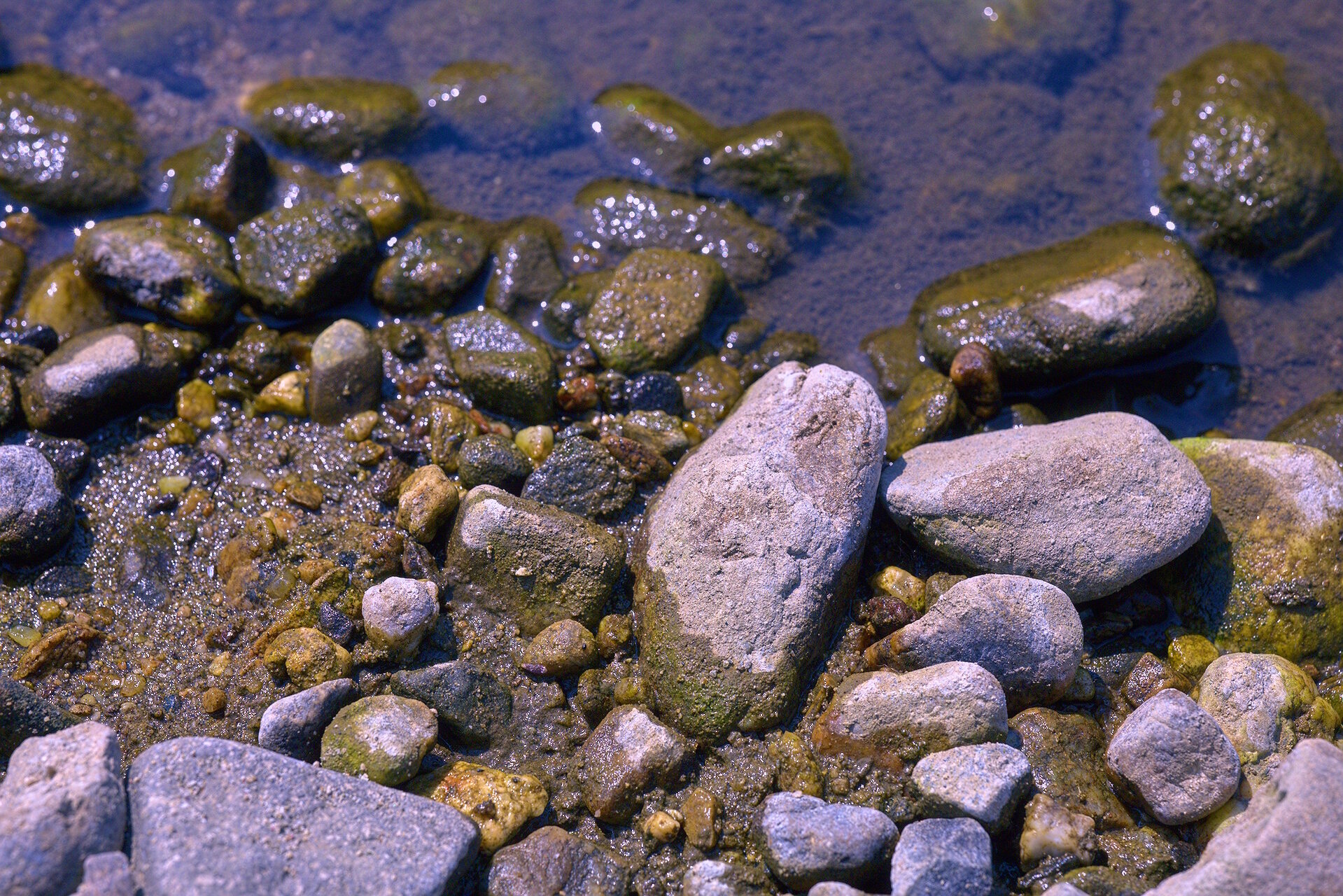 Бряг от Stoqn - fotocrop