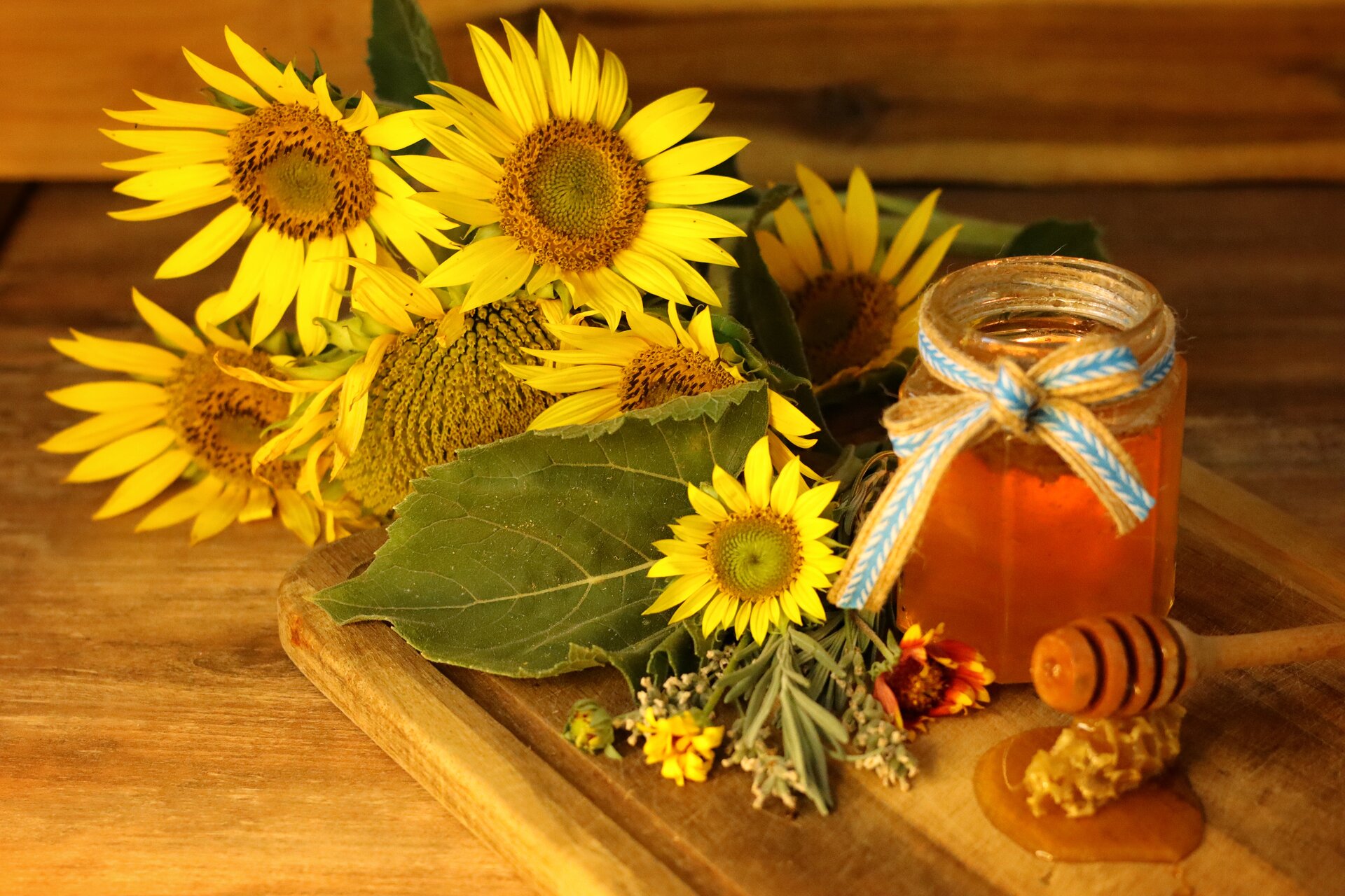 Медено утро от Reni Ch - reni_ch