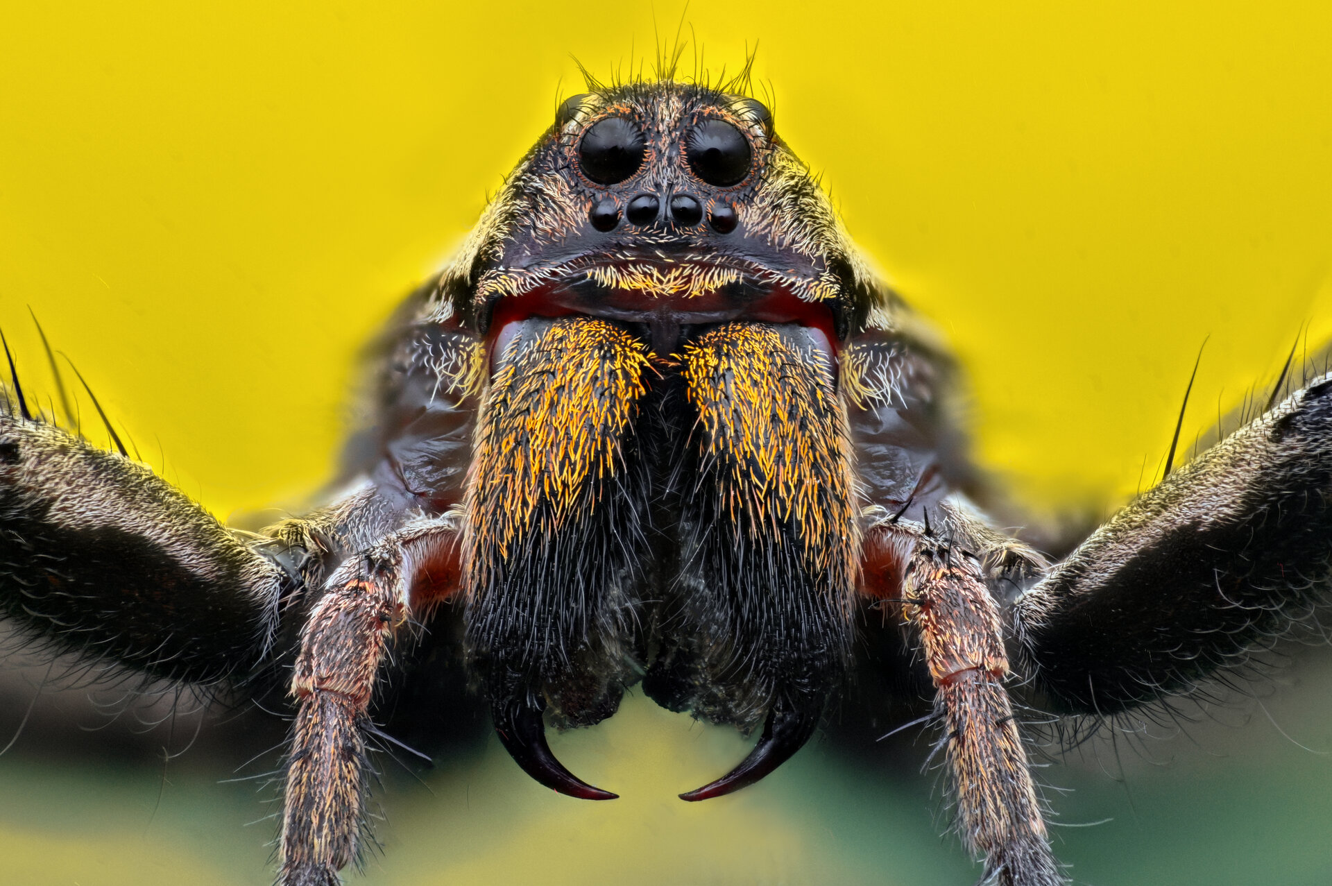  от Tsvetan Ganev - ceclii