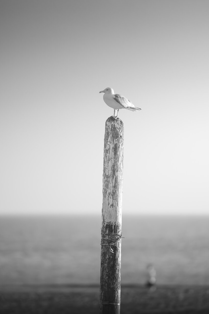 Barmouth от Peter Igrev - Петър_Игрев