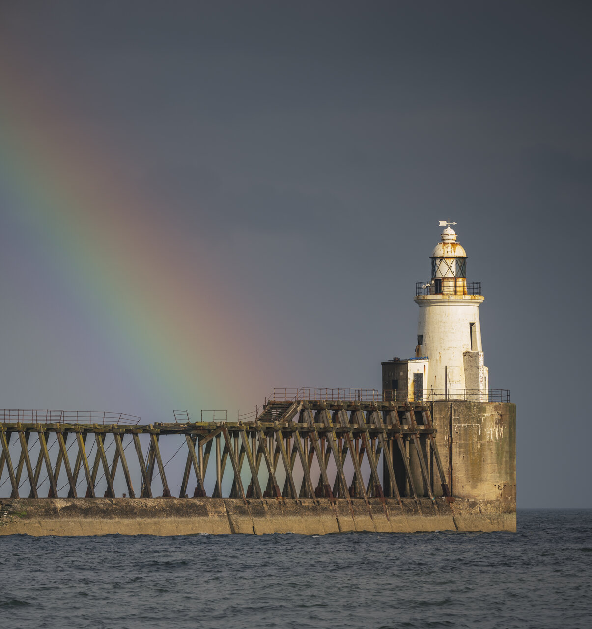 Blyth от Peter Igrev - Петър_Игрев