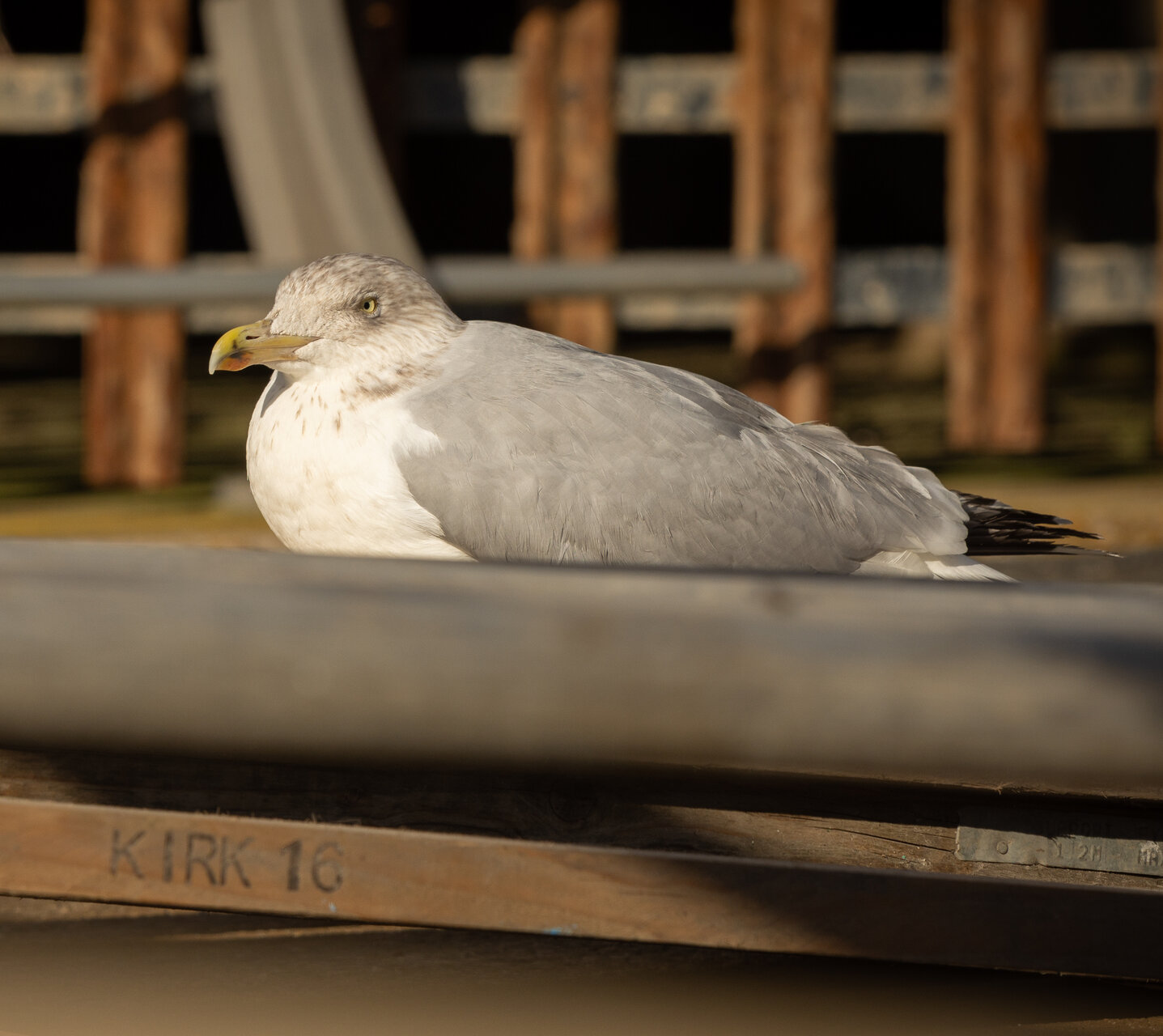 Blackpool от Peter Igrev - Петър_Игрев