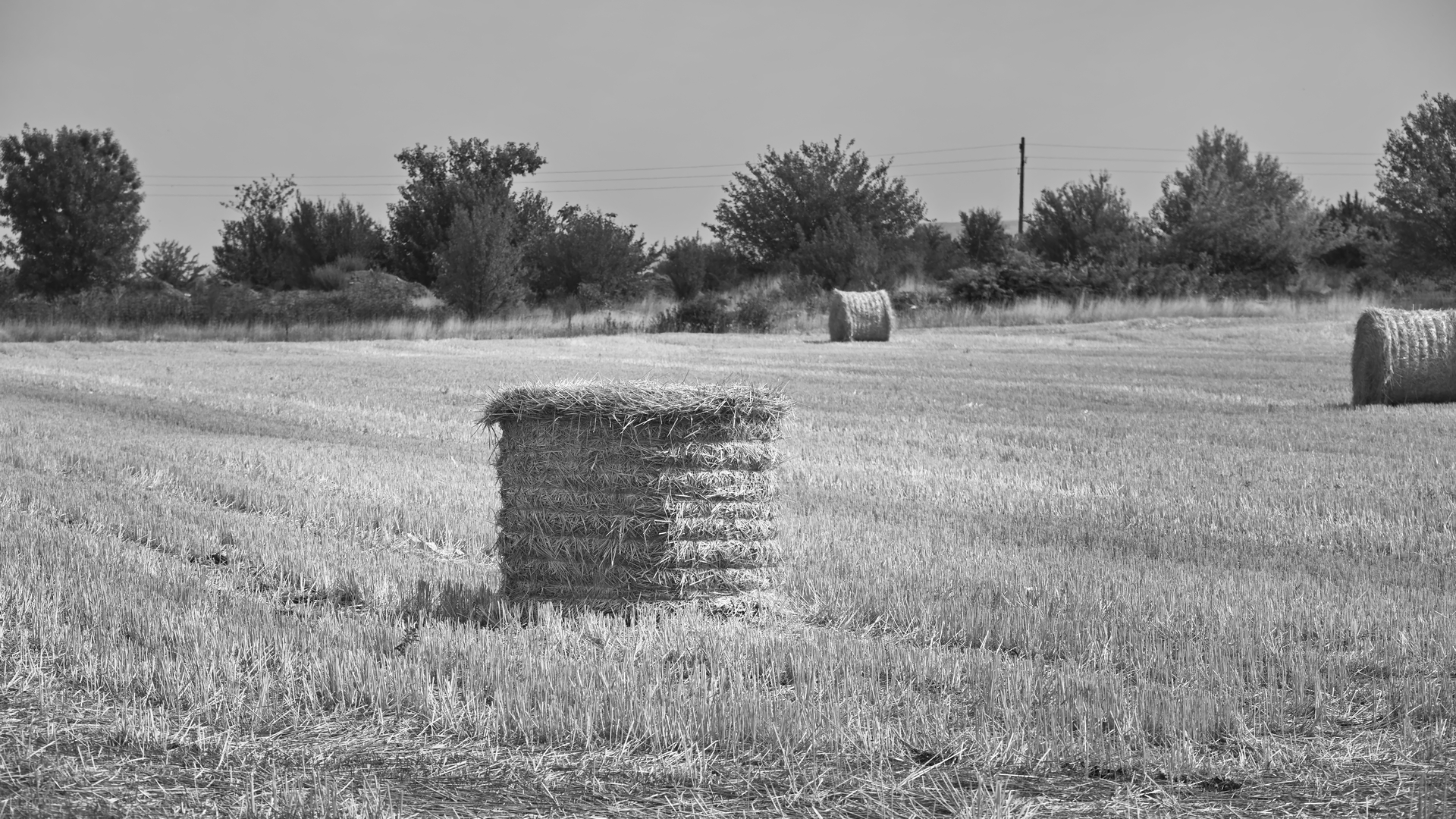 На бали от Milen Mladenov - resco