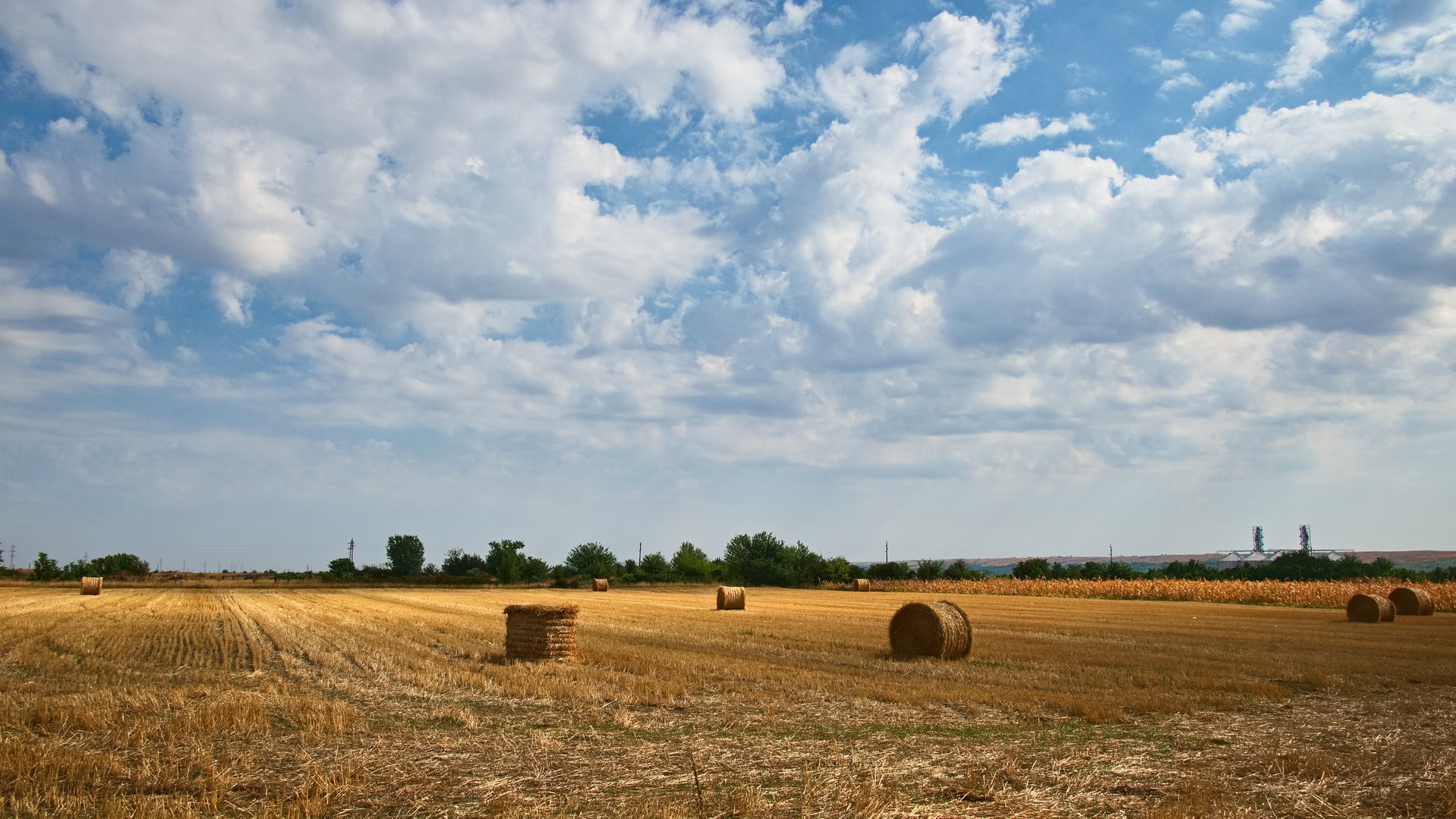Бали слама от Milen Mladenov - resco
