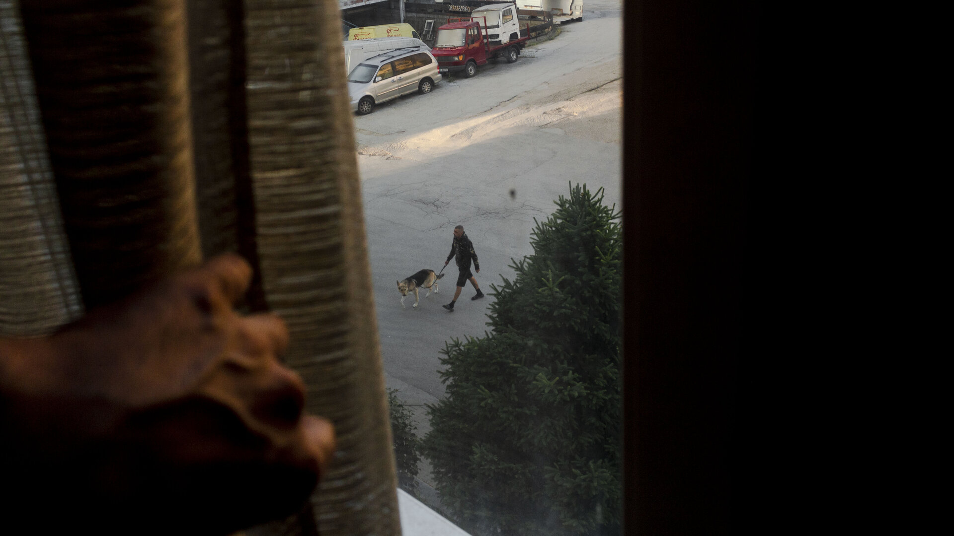 Dog от Михаил - Voynov