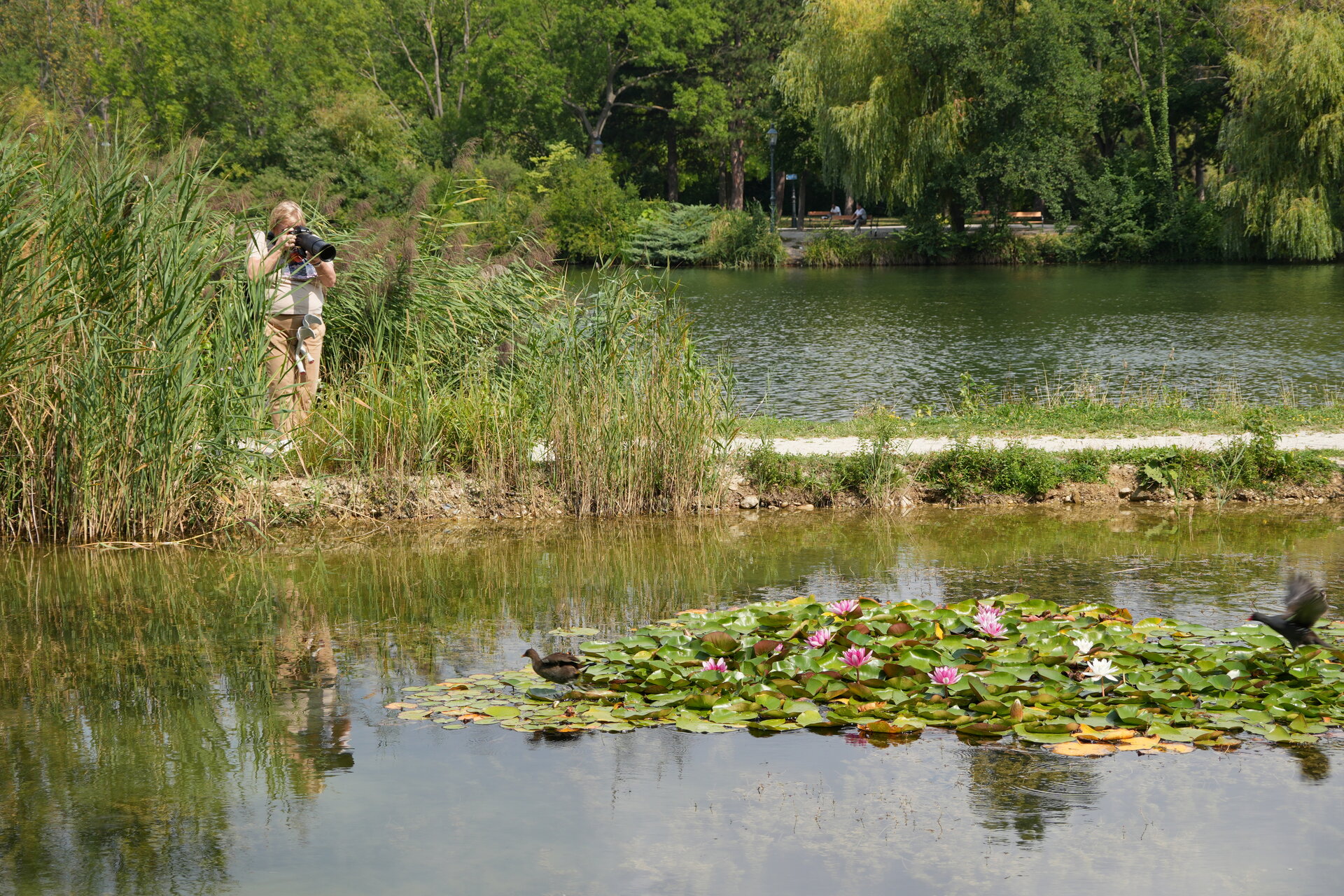 Силата да уловиш свободата от Marina Nizamska - marinizam