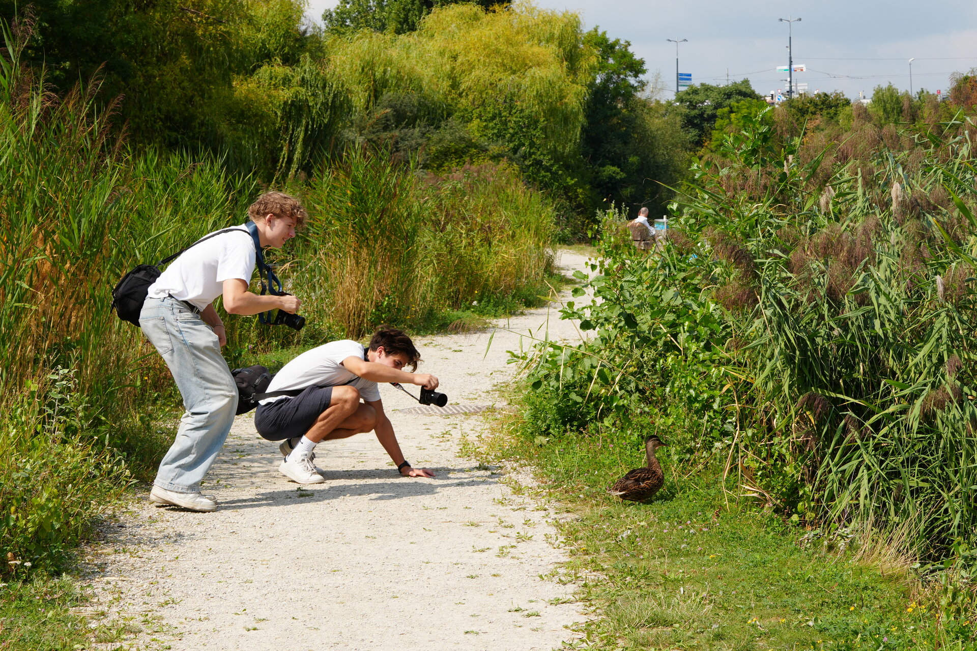 Младежки погледи, обърнати към природата от Marina Nizamska - marinizam