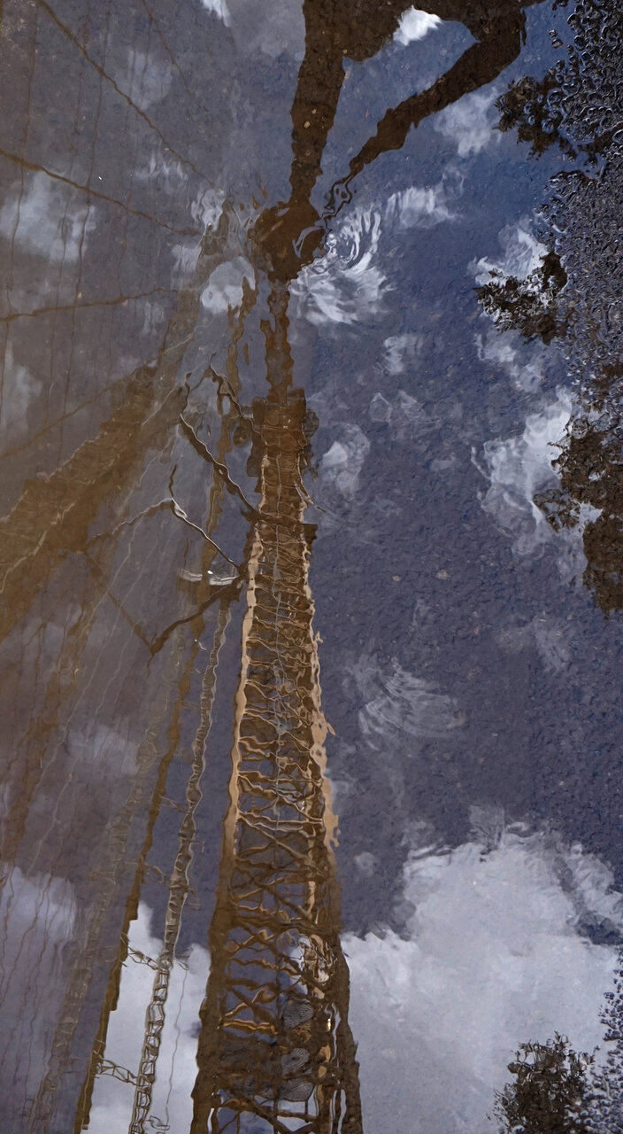 Магия от Атанасов - to6ko1999