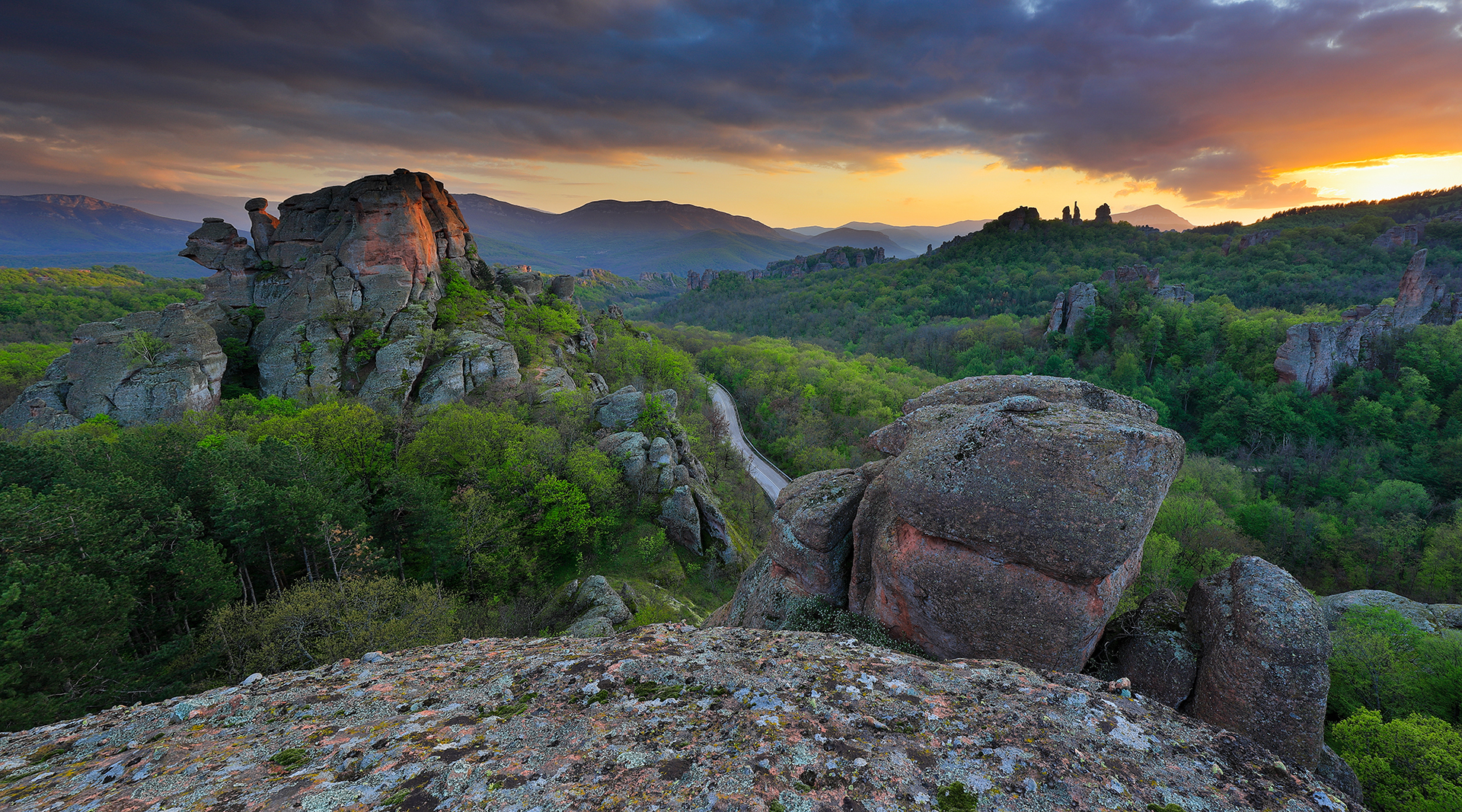 Цветовете на залеза край Белоградчишките скали от Emiliyan Evdokimov - evdokimov_emo