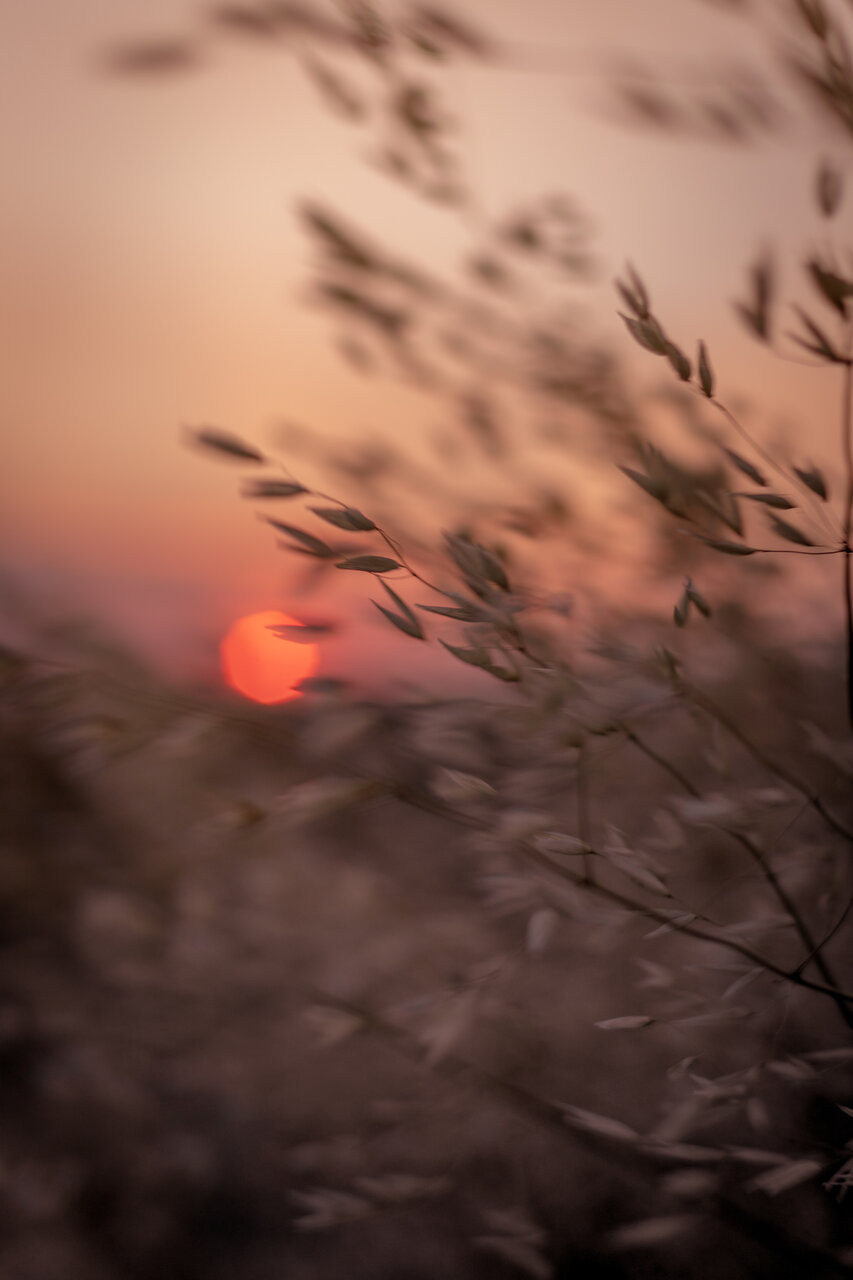 Залез от Kristian Dragnev - kristian9107