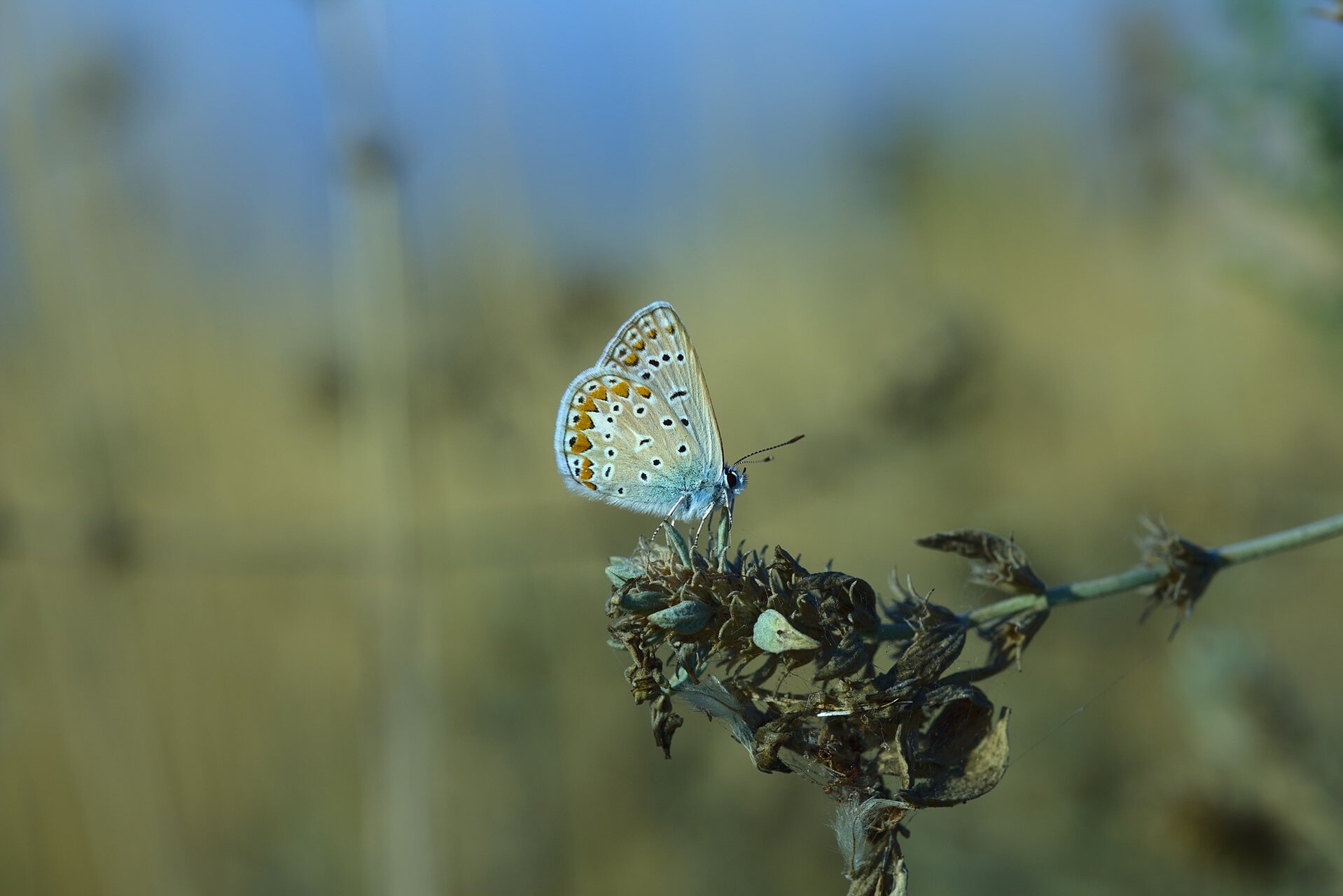 край реката от Stoqn - fotocrop