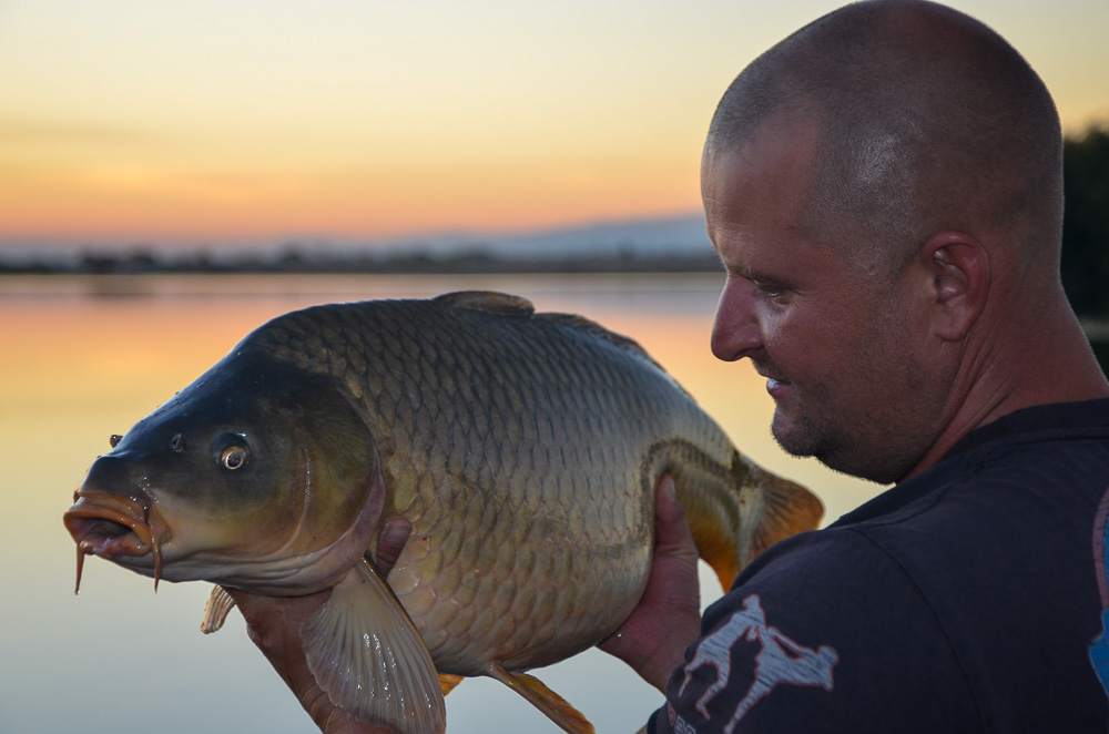 Златният трофей на залез от Petq Nedkova - PetyaNedkova