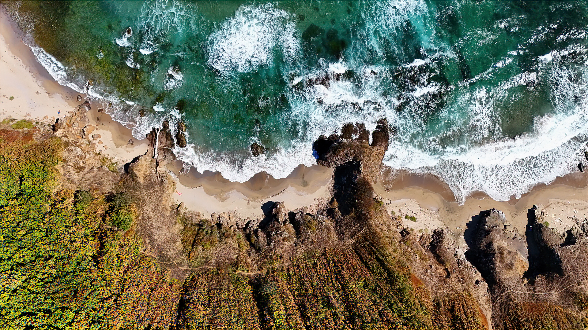 Плаж Листи от Atanas Hristov - naskoart