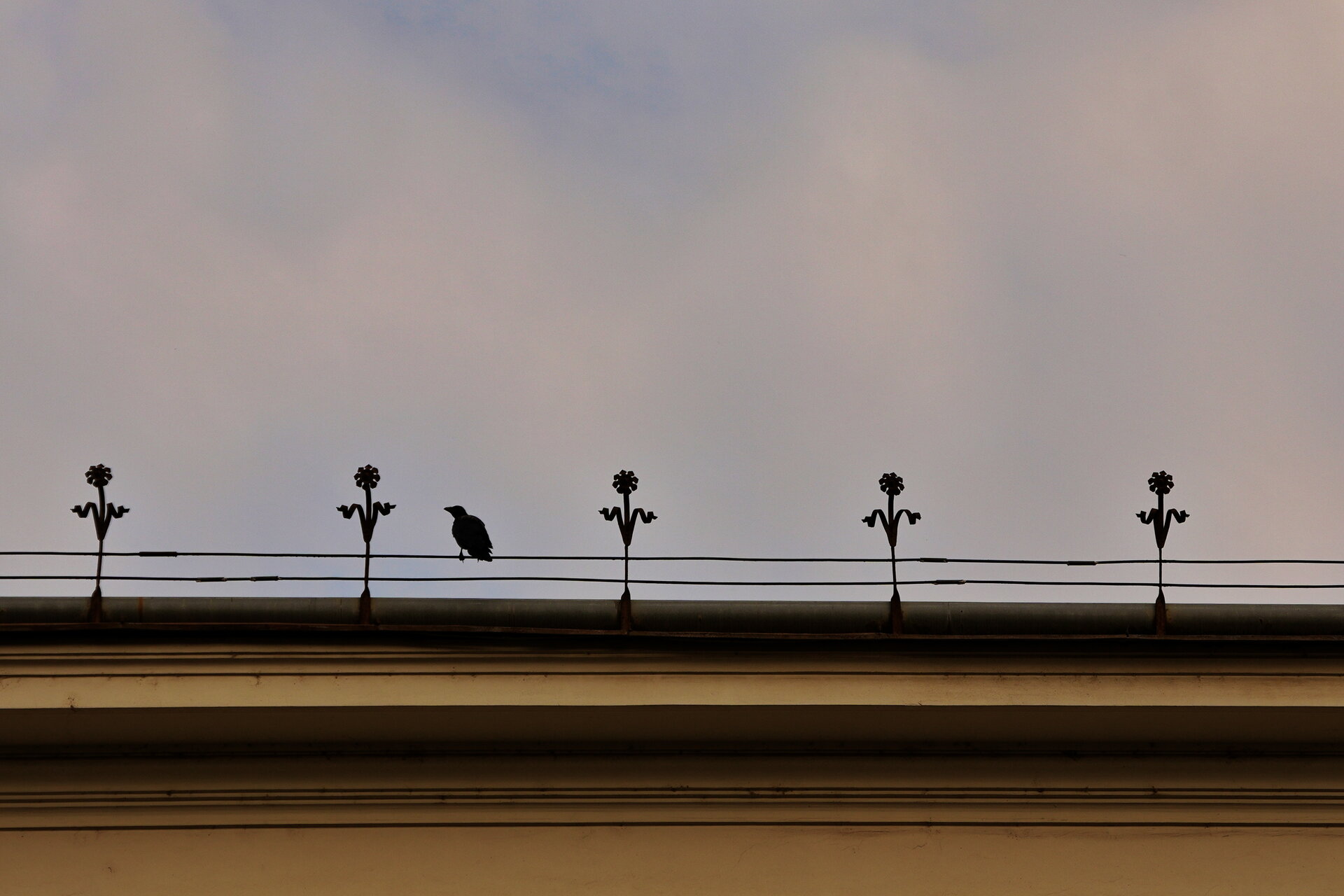 Живият орнамент от Marina Nizamska - marinizam