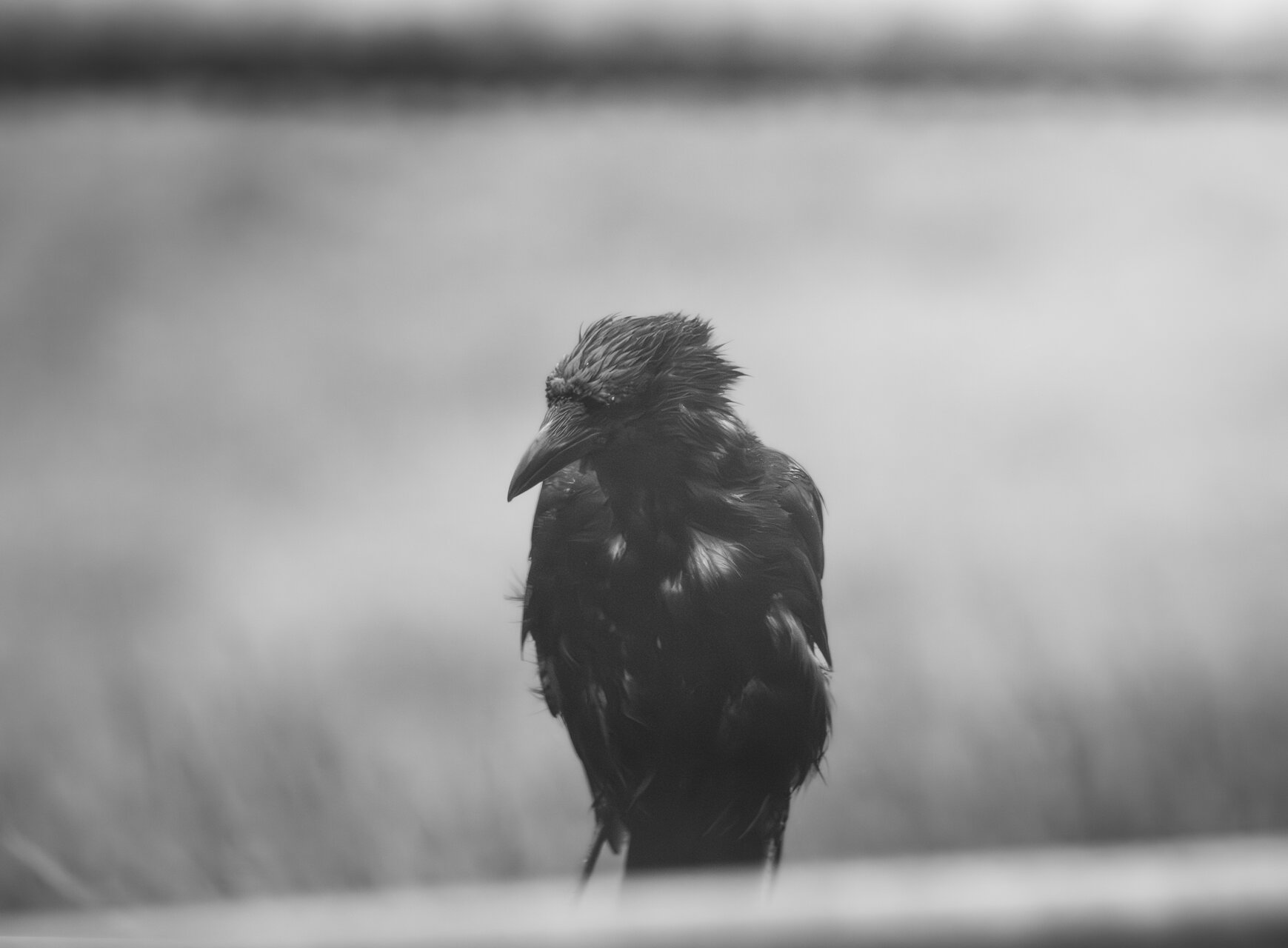 Bwlch от Peter Igrev - Петър_Игрев