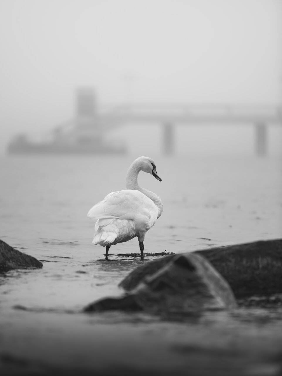 Бургас от Peter Igrev - Петър_Игрев