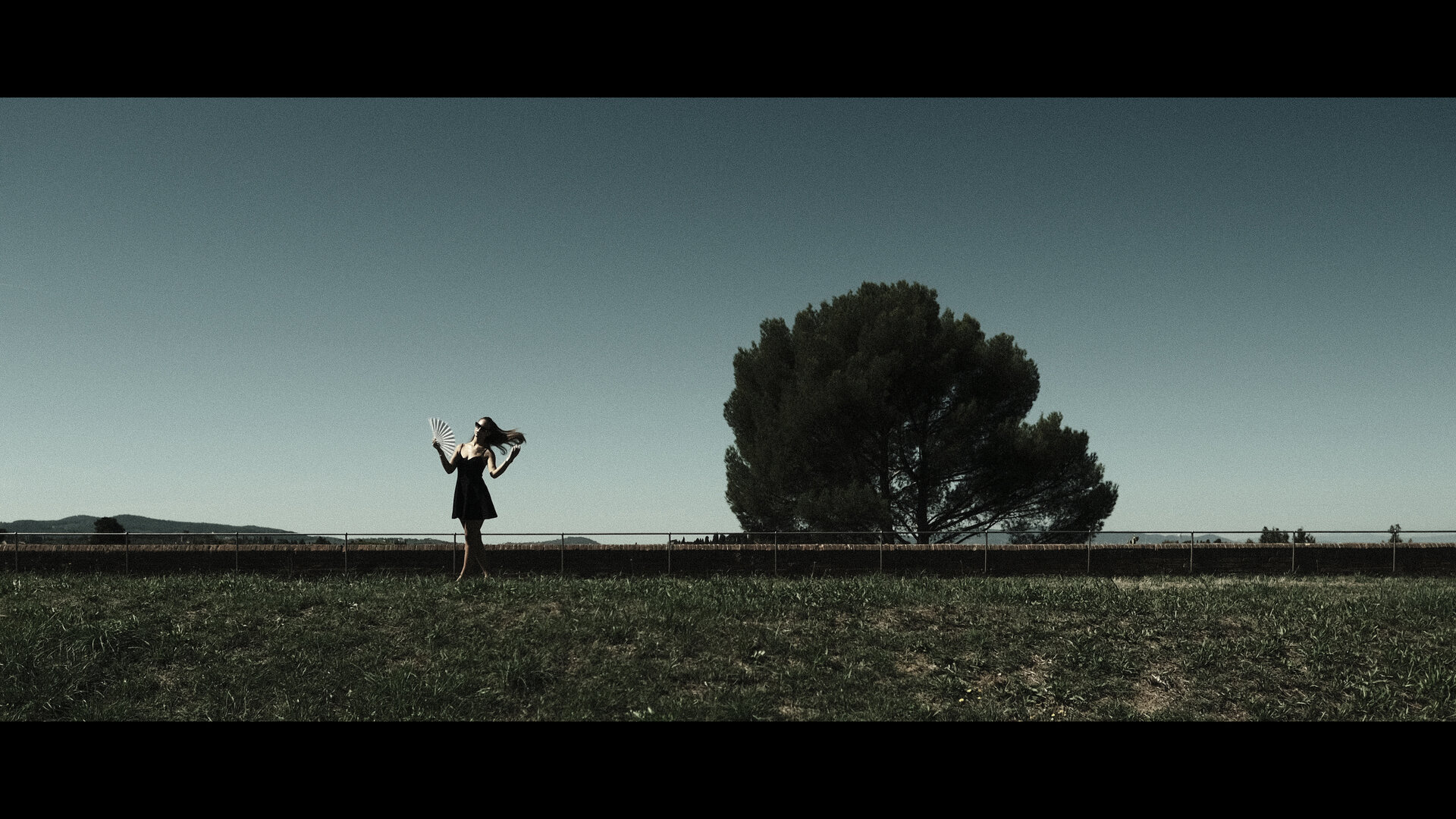 219 от often wider - rangelow.k