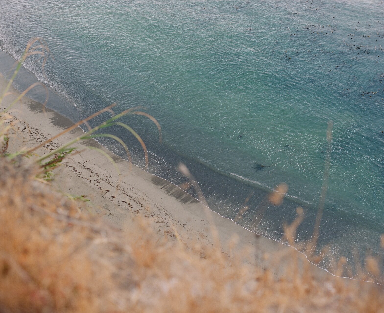 Мендосино, Калифорния от radostina boseva - radostina.boseva