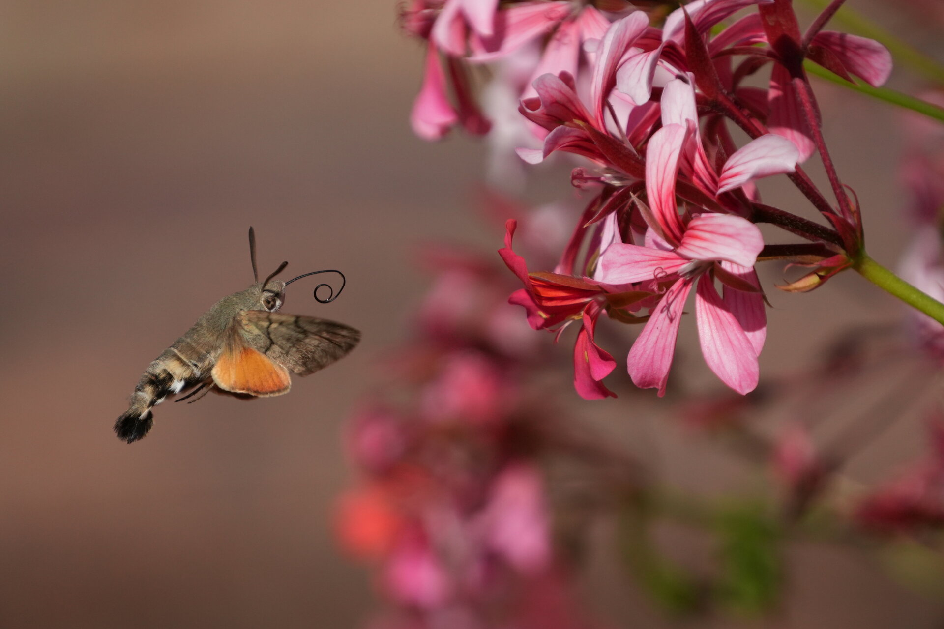 Магия в движение от Marina Nizamska - marinizam